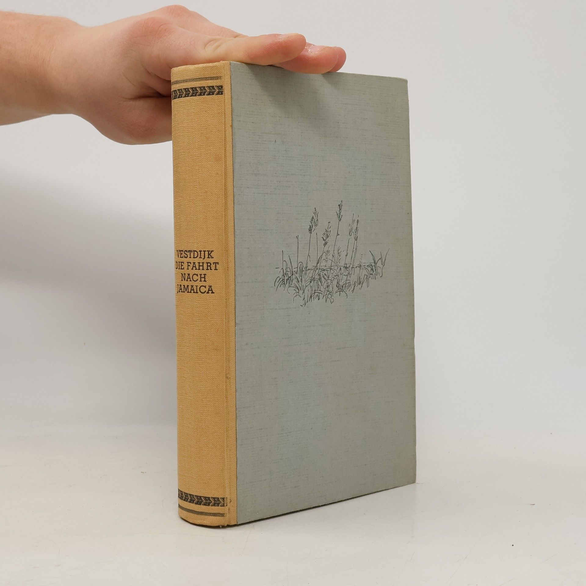 Simon Vestdijk Die Fahrt nach Jamaica