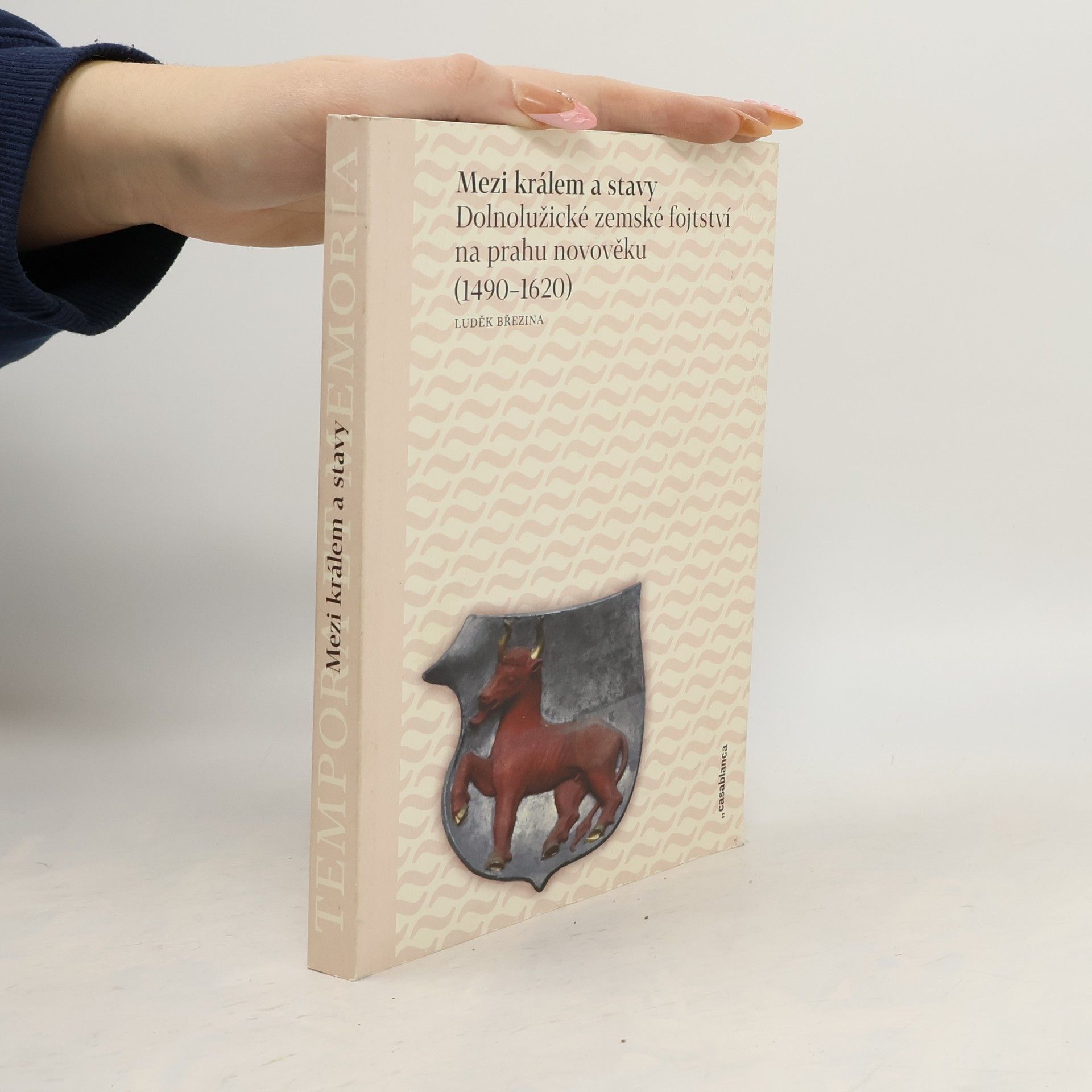 Mezi králem a stavy