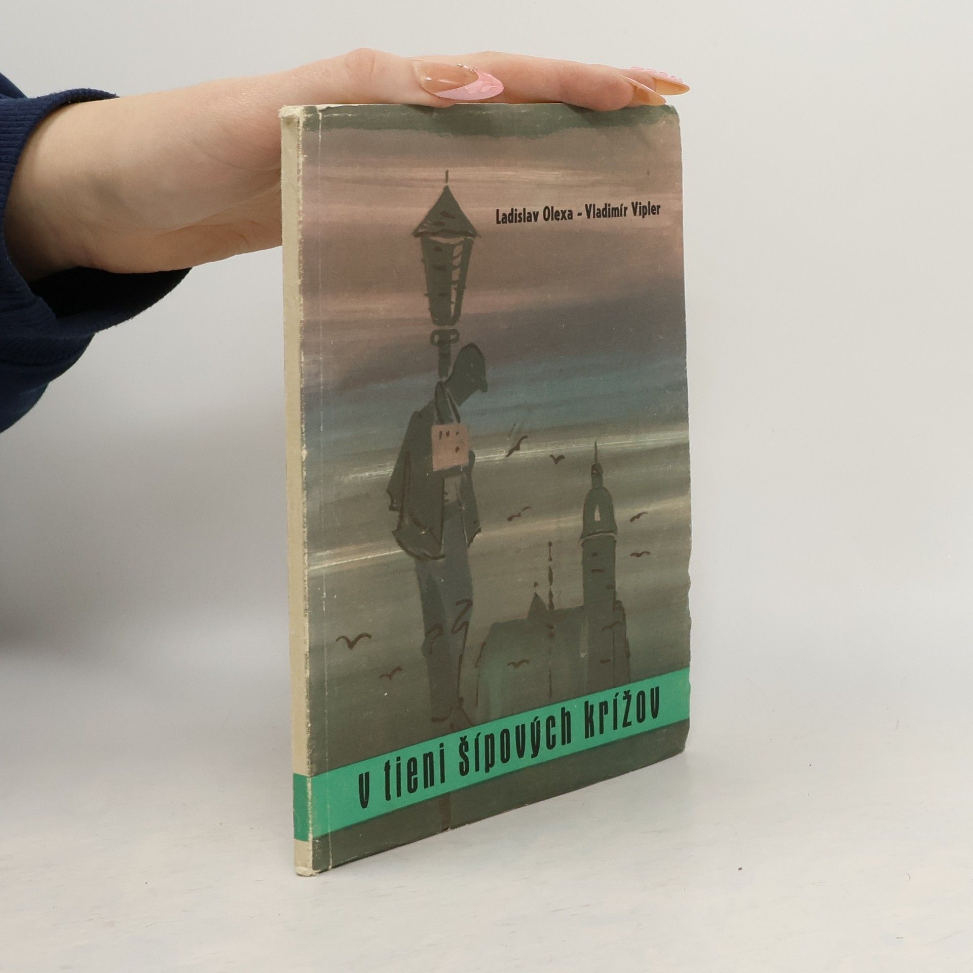 V tieni šípových krížov