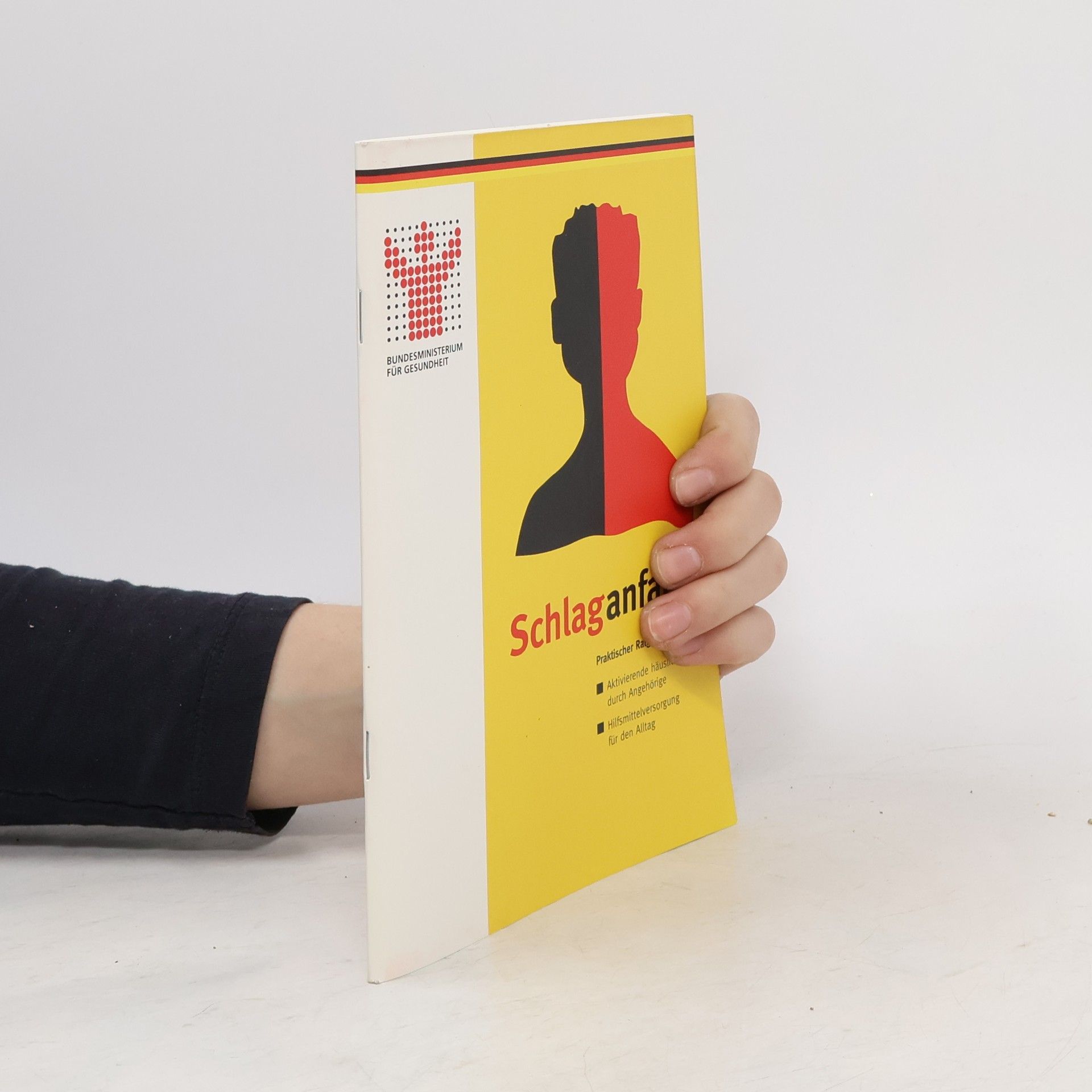 Autorenkollektiv Schlaganfall