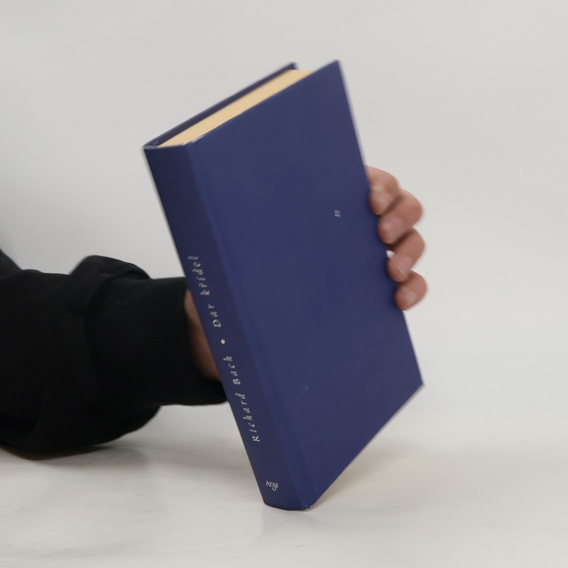 Richard David Bach Dar křídel