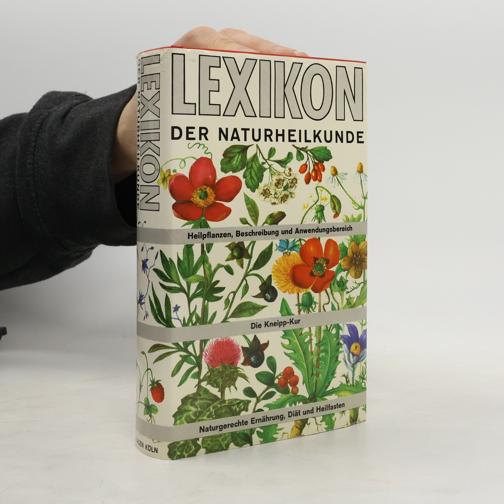 Autorenkollektiv Lexikon der Naturheilkunde