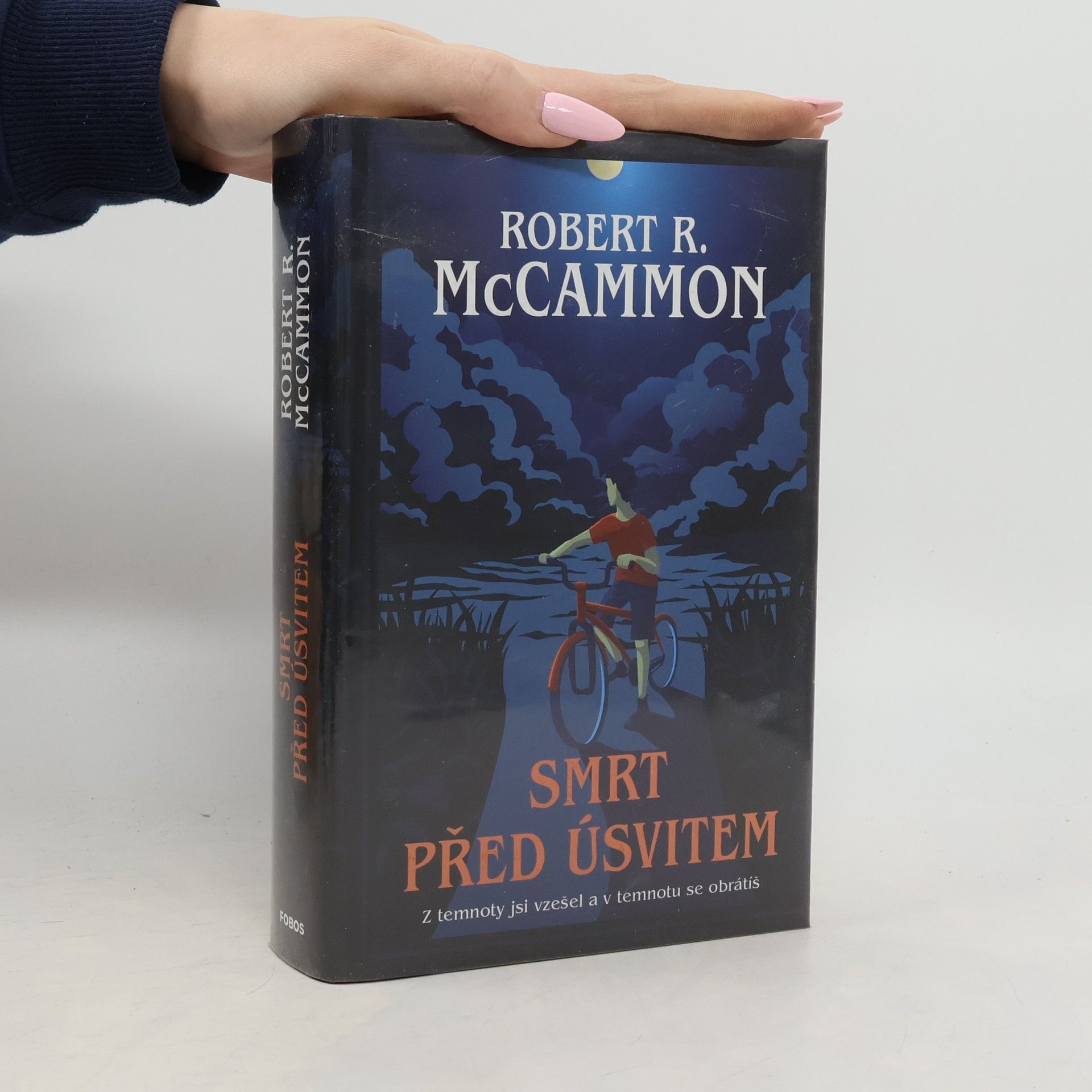 Robert R. McCammon Smrt před úsvitem