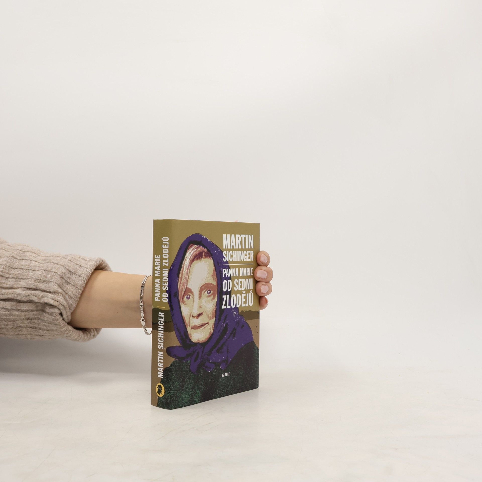 Martin Sichinger Panna Marie od Sedmi zlodějů
