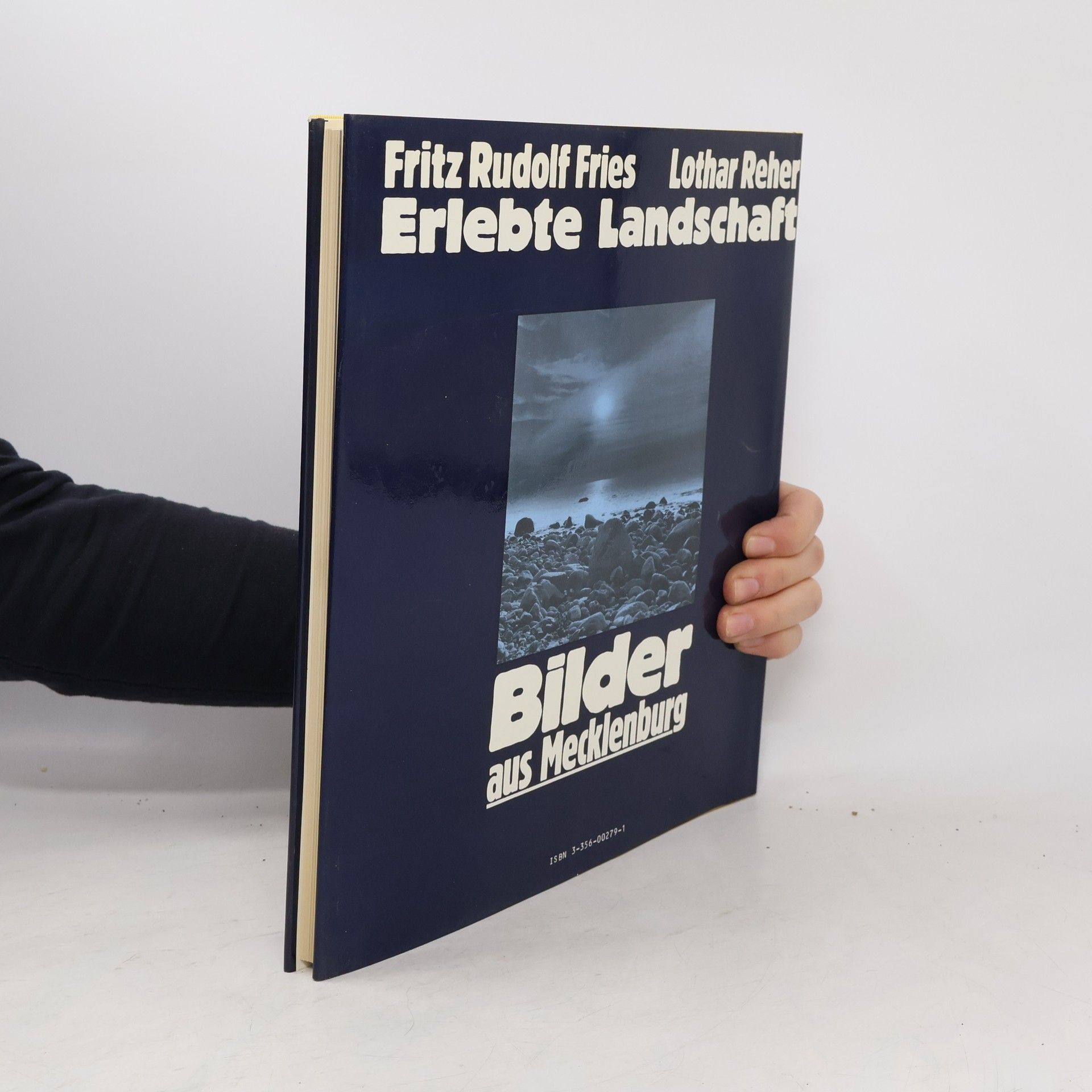 Fritz Rudolf Fries Erlebte Landschaft
