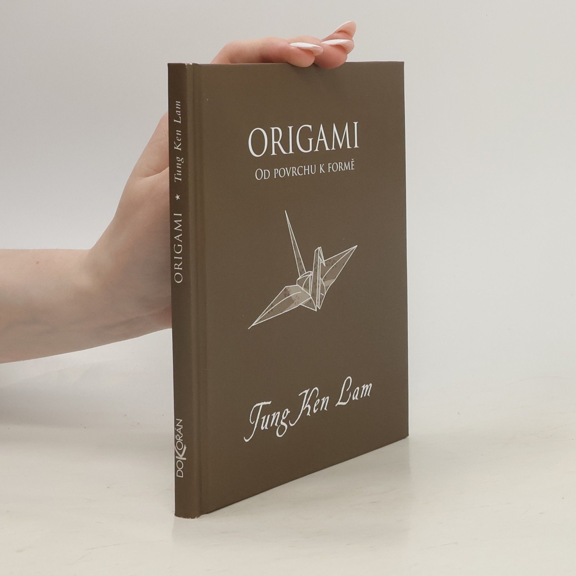 Tung Ken Lam Origami: Od povrchu k formě