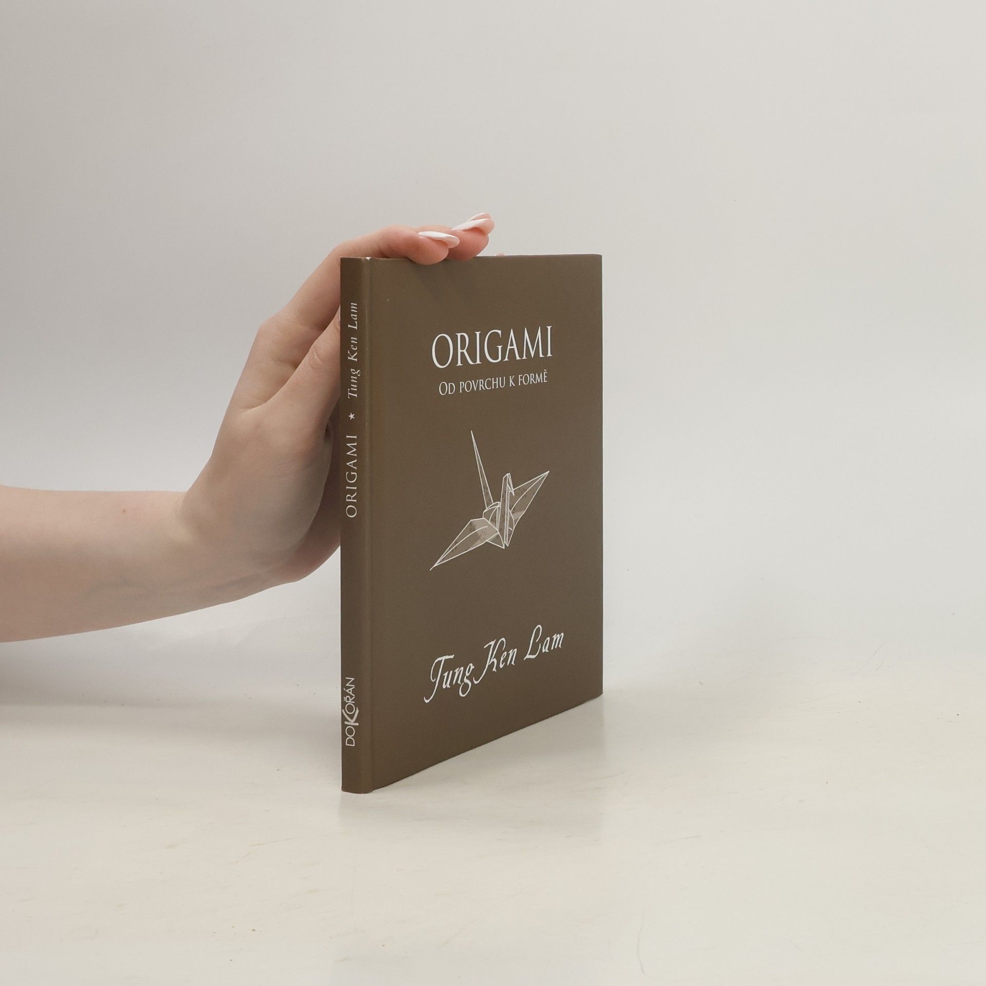 Tung Ken Lam Origami: Od povrchu k formě