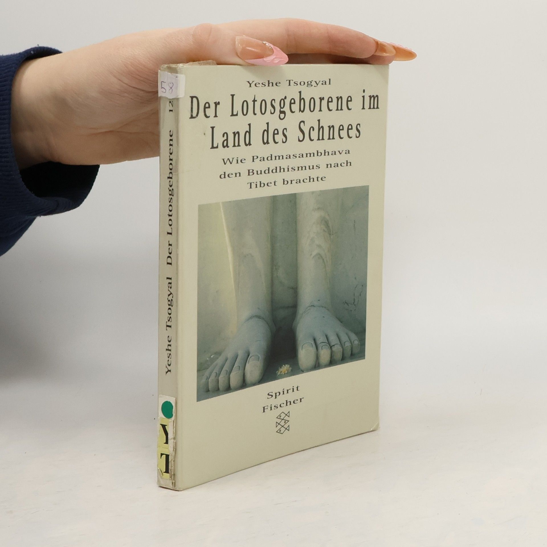 Der Lotosgeborene im Land des Schnees