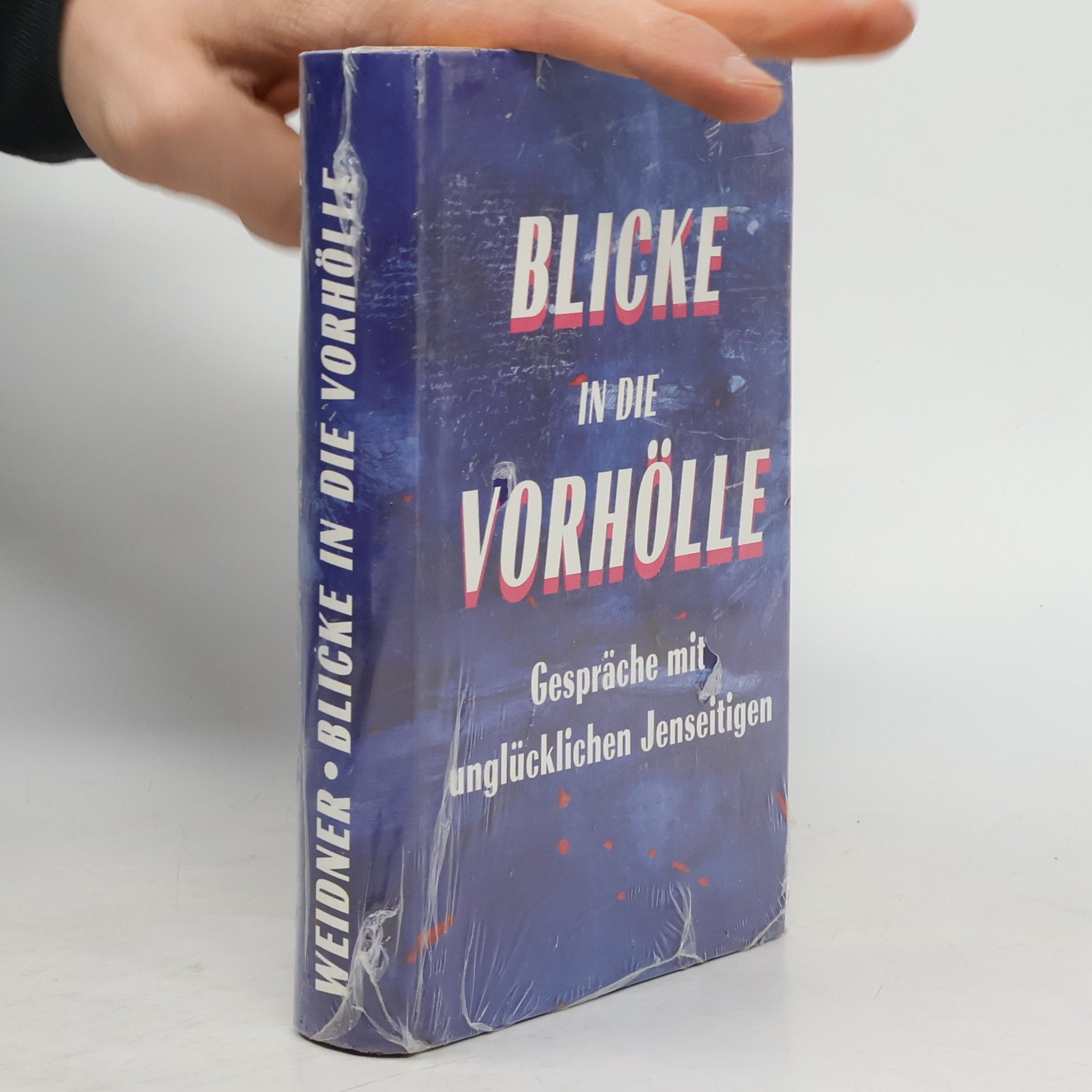 Gisela Weidner Blicke in die Vorhölle