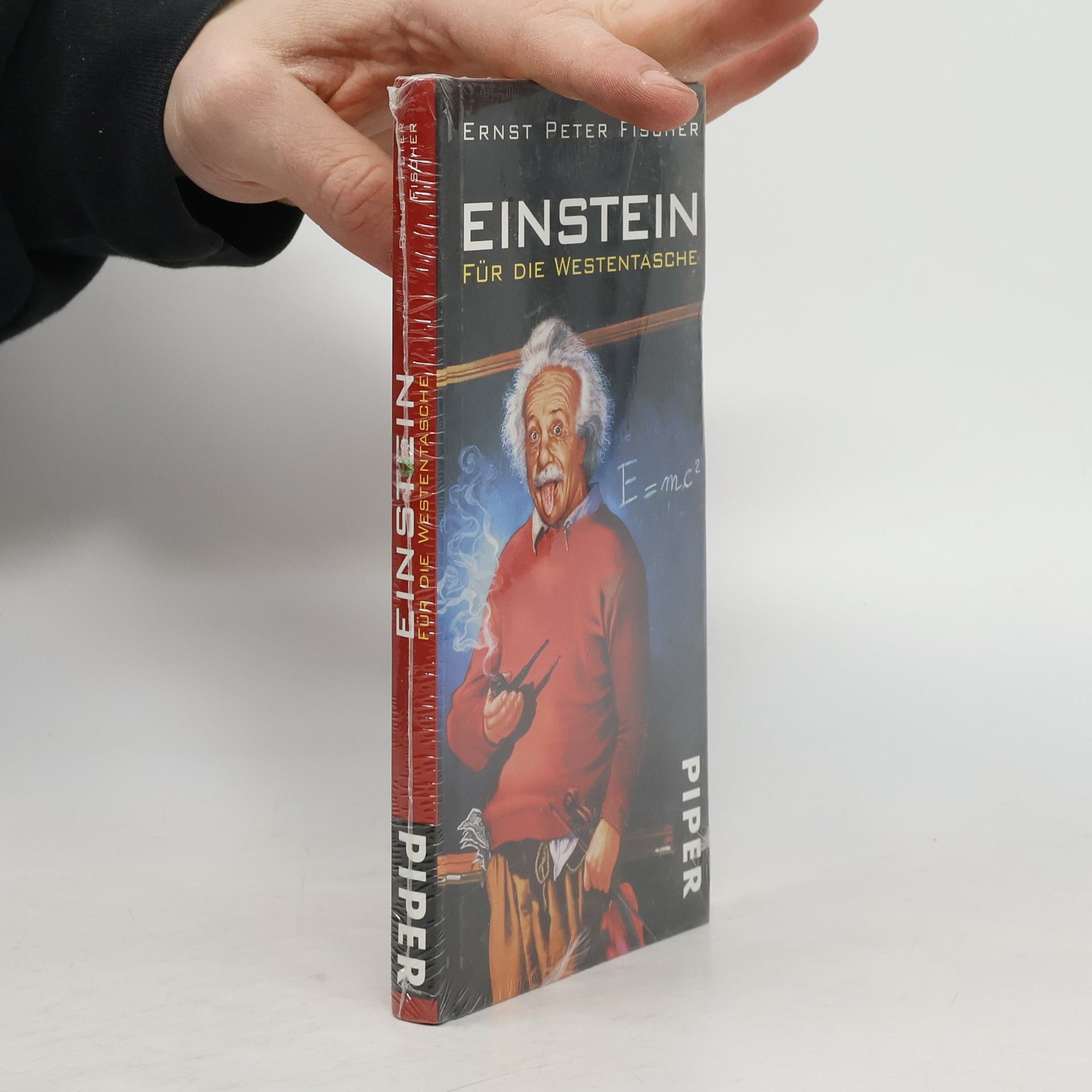 Ernst Fischer Einstein für die Westentasche
