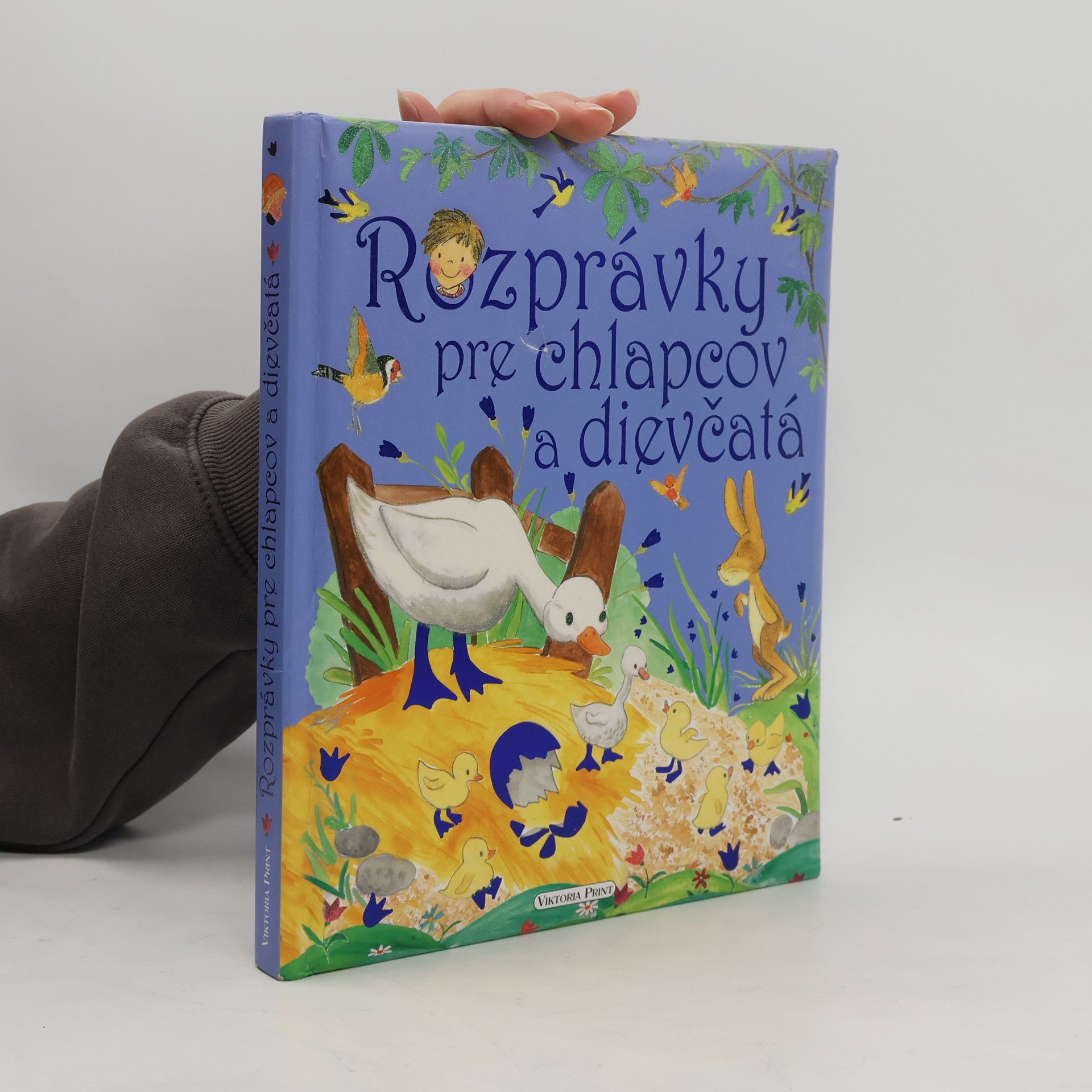 Autorenkollektiv Rozprávky pre chlapcov a dievčatá