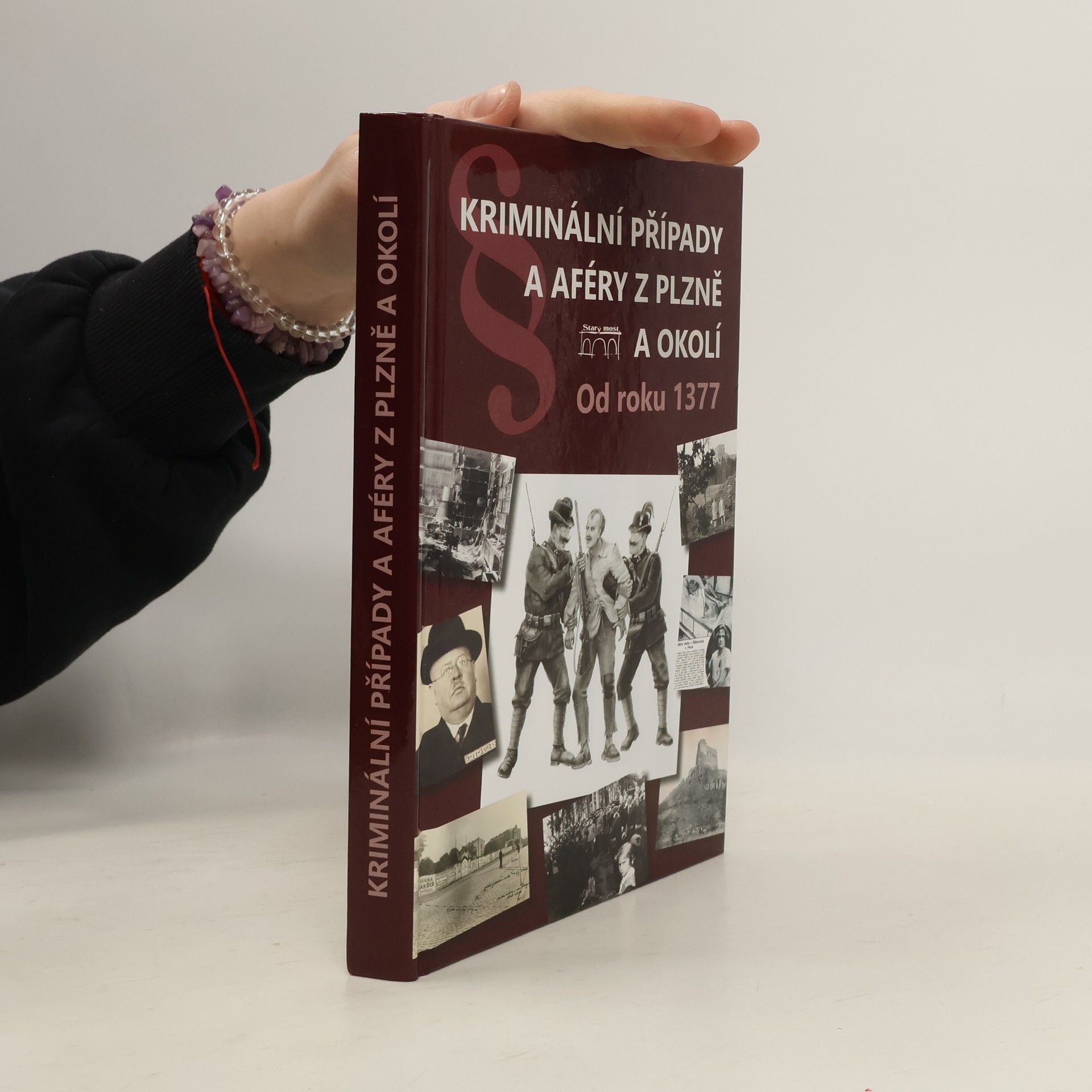 AA.VV. Kriminální případy a aféry z Plzně a okolí: Od roku 1377