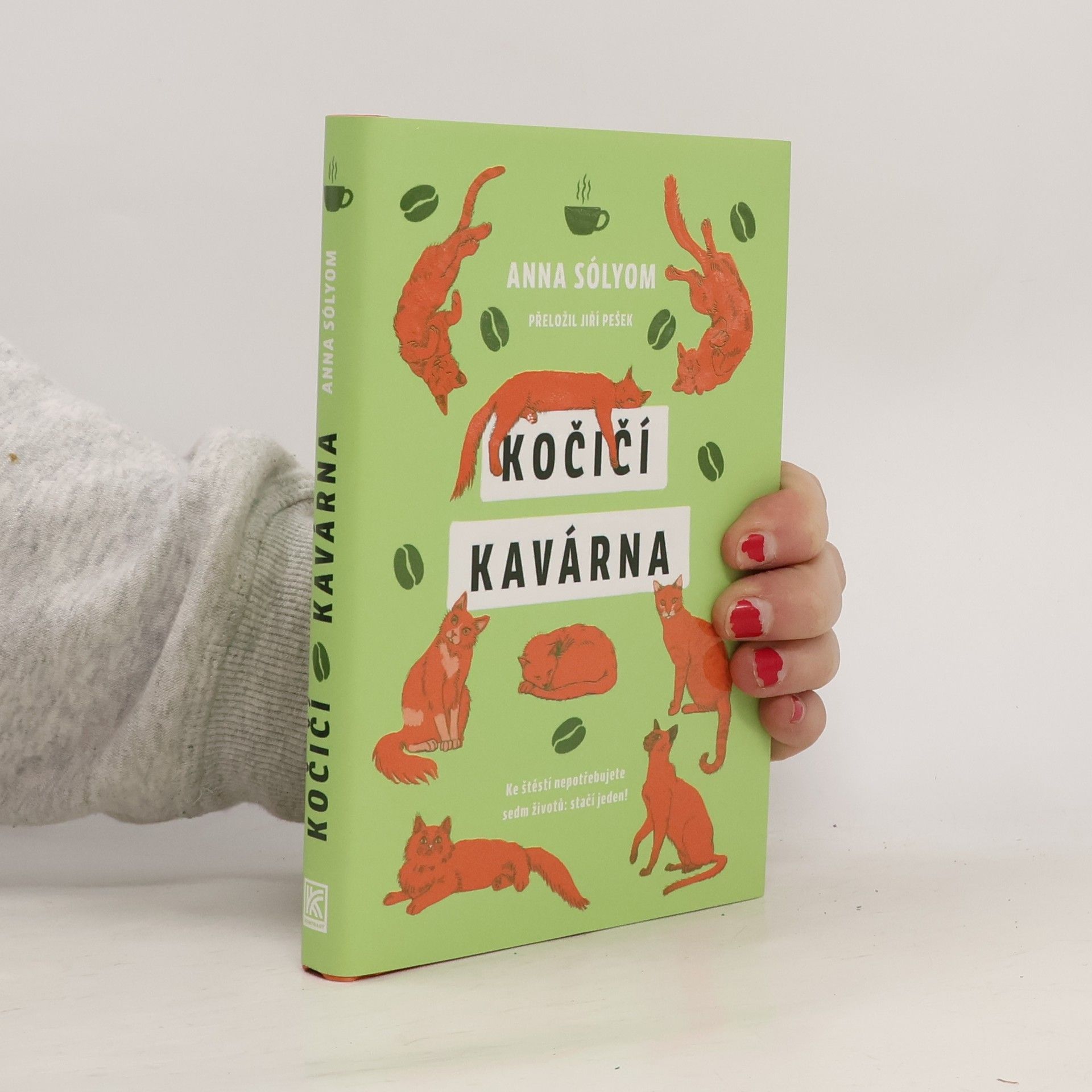 Anna Sólyom Kočičí kavárna