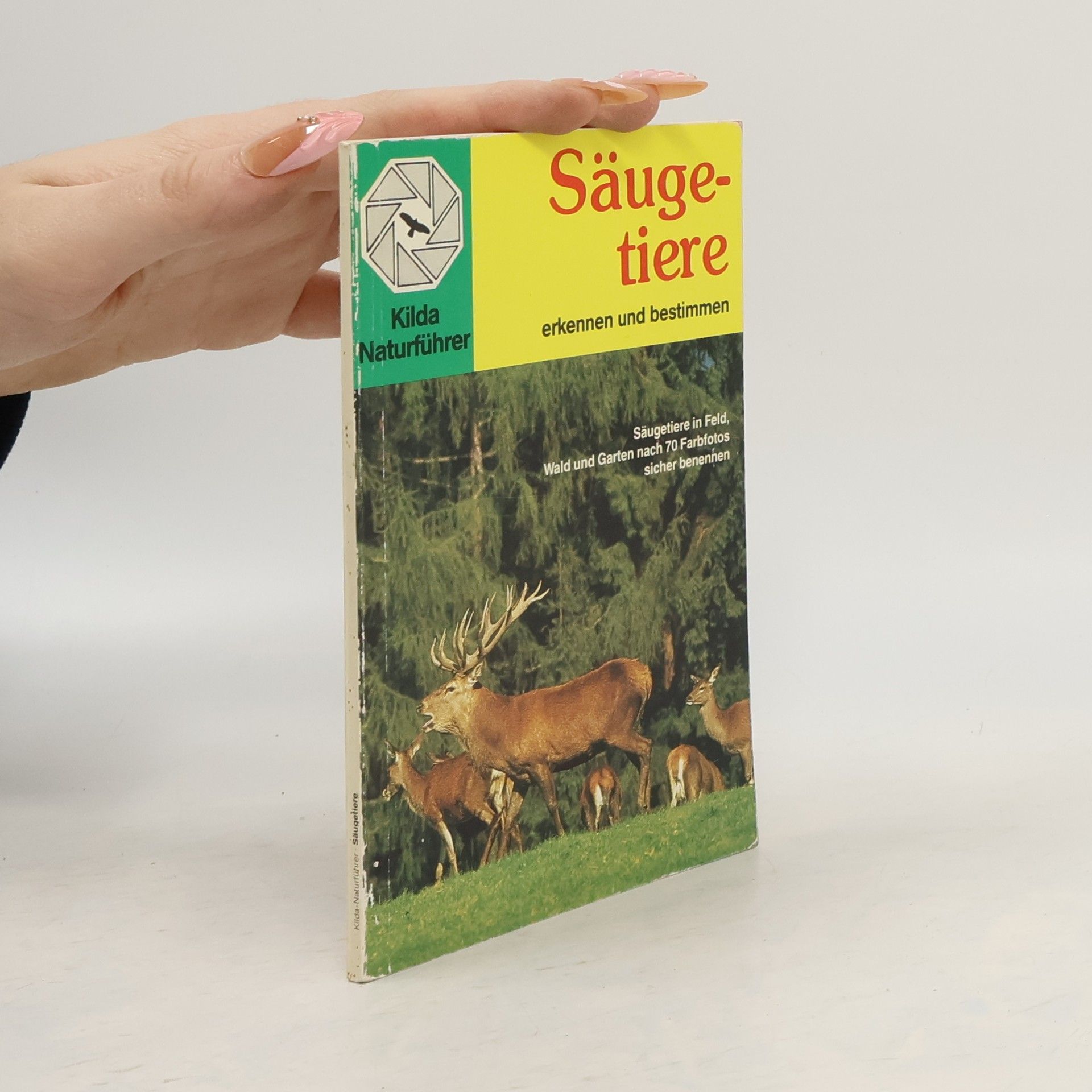 Collectif d'auteurs Säugetiere. Erkennen und Bestimmen