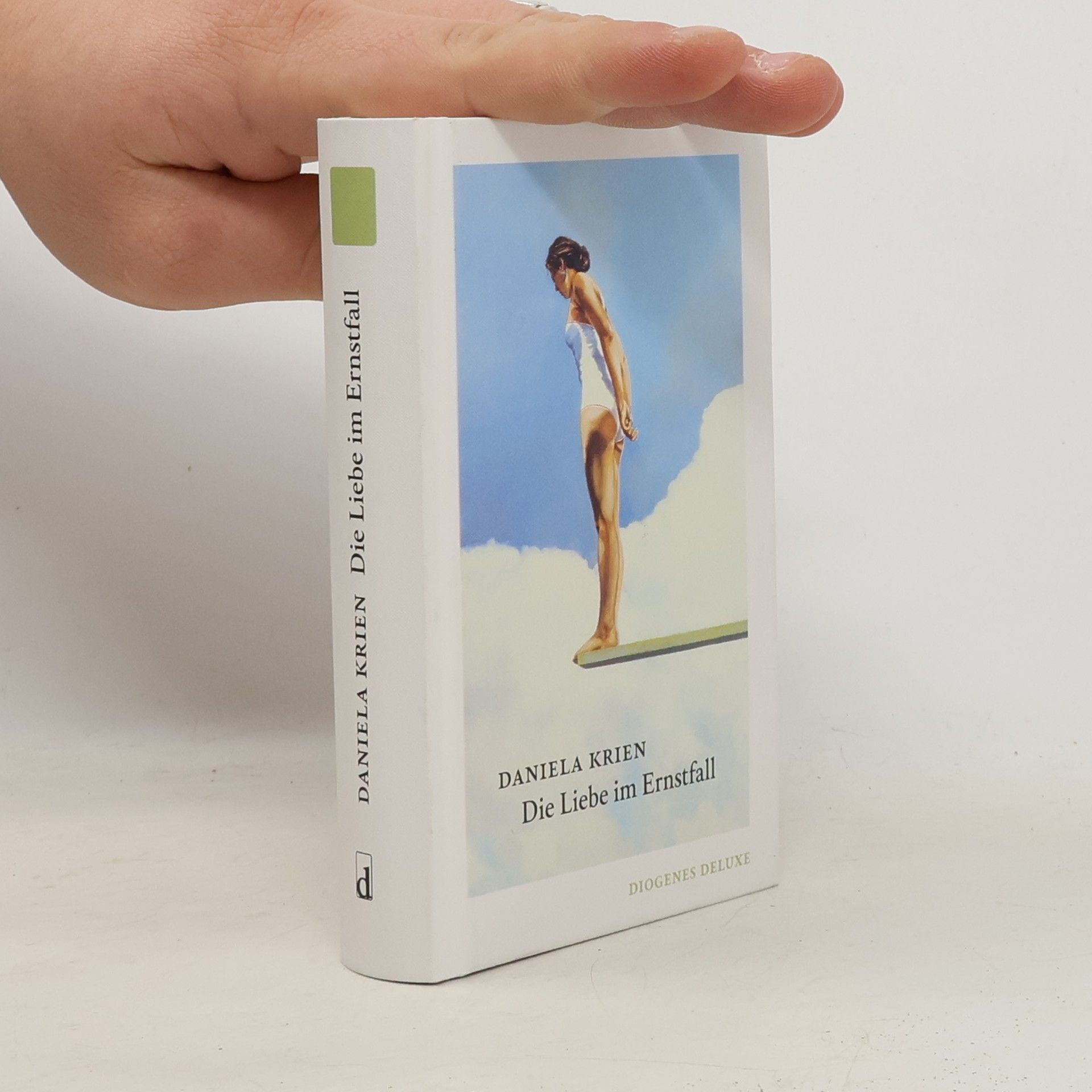 Daniela Krien Die Liebe im Ernstfall