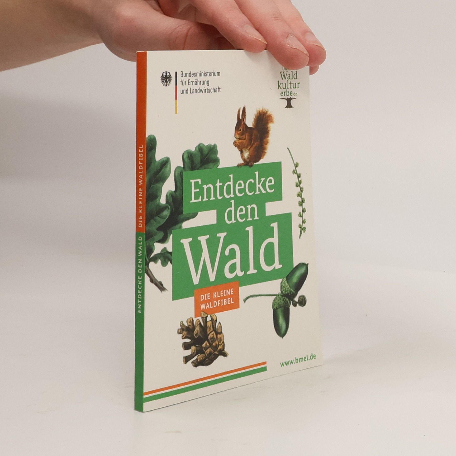 Auteurscollectief Entdecke den Wald. Die kleine Waldfibel