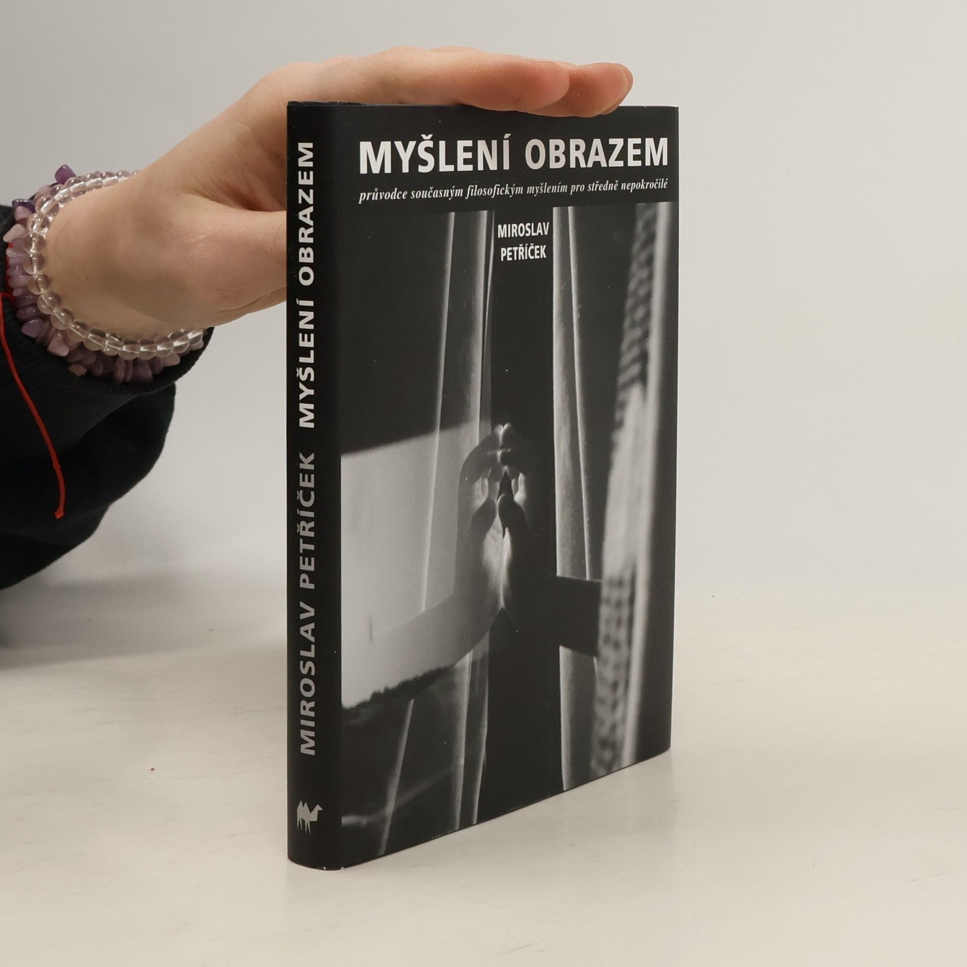 Miroslav Petříček jr. Myšlení obrazem: Průvodce současným filosofickým myšlením pro středně nepokročilé