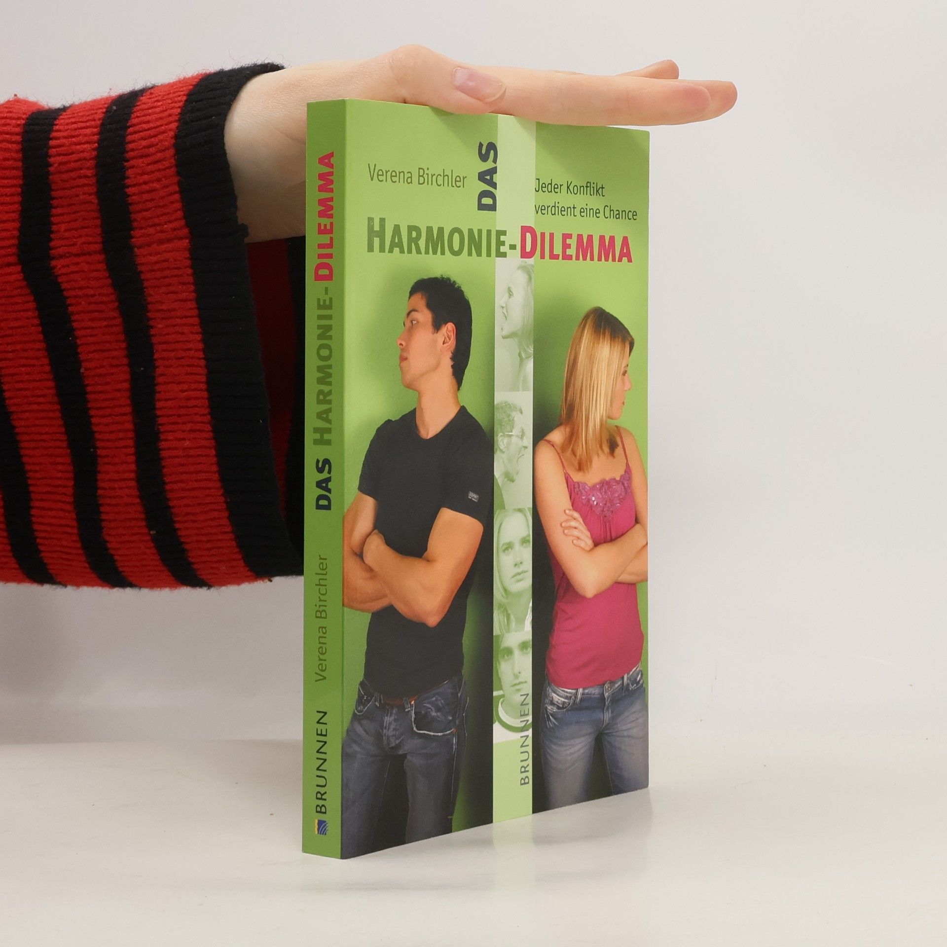 Verena Birchler Das Harmonie-Dilemma