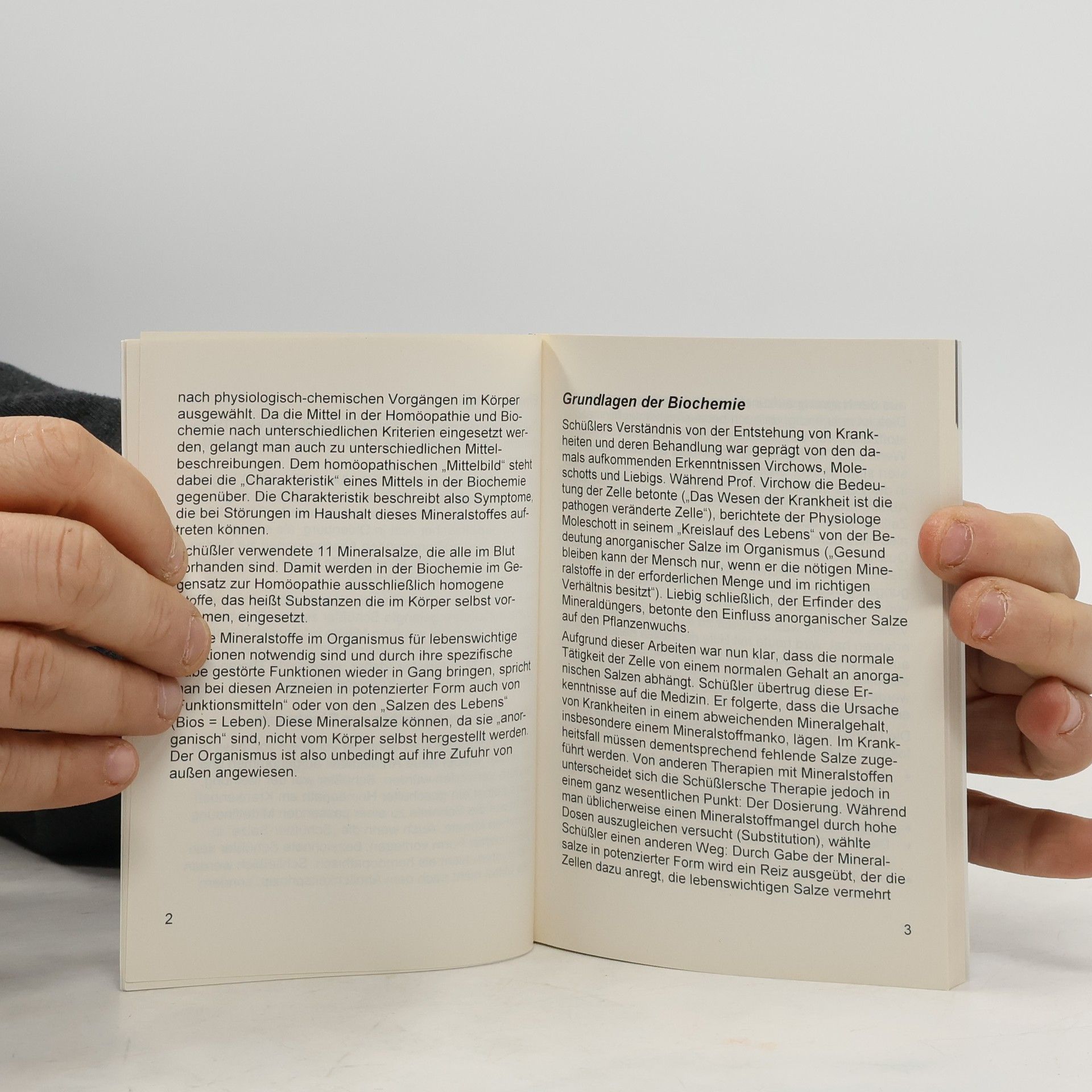 Werner Hemm Rezeptierbuch zur Biochemie