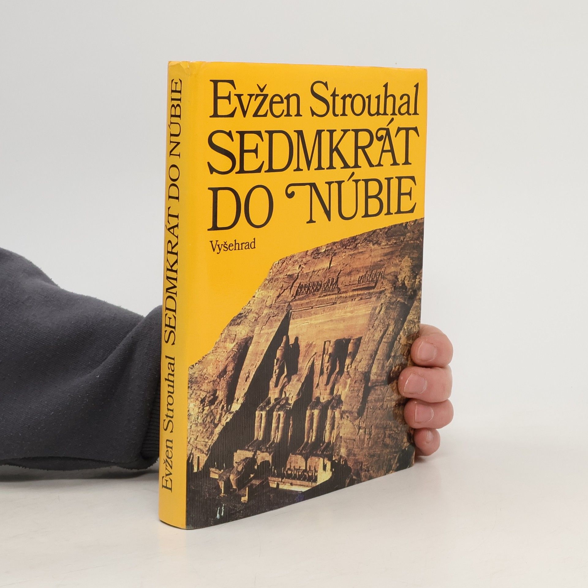 Sedmkrát do Núbie