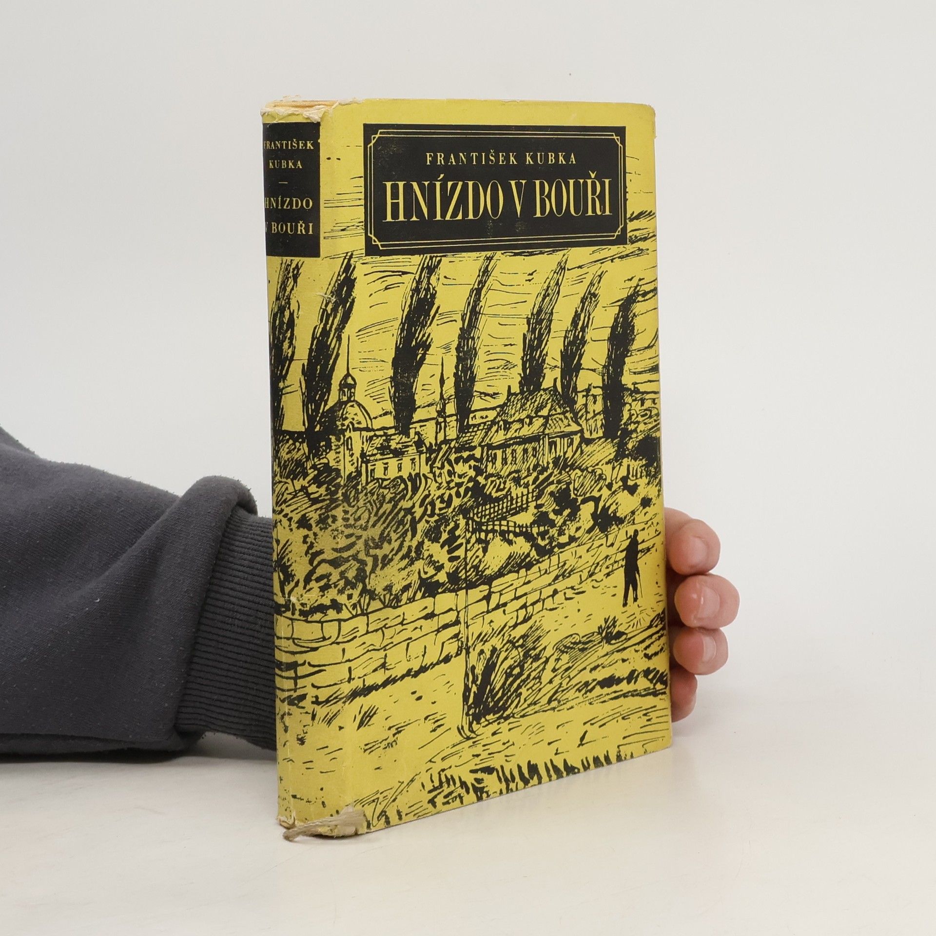 František Kubka Hnízdo v bouři