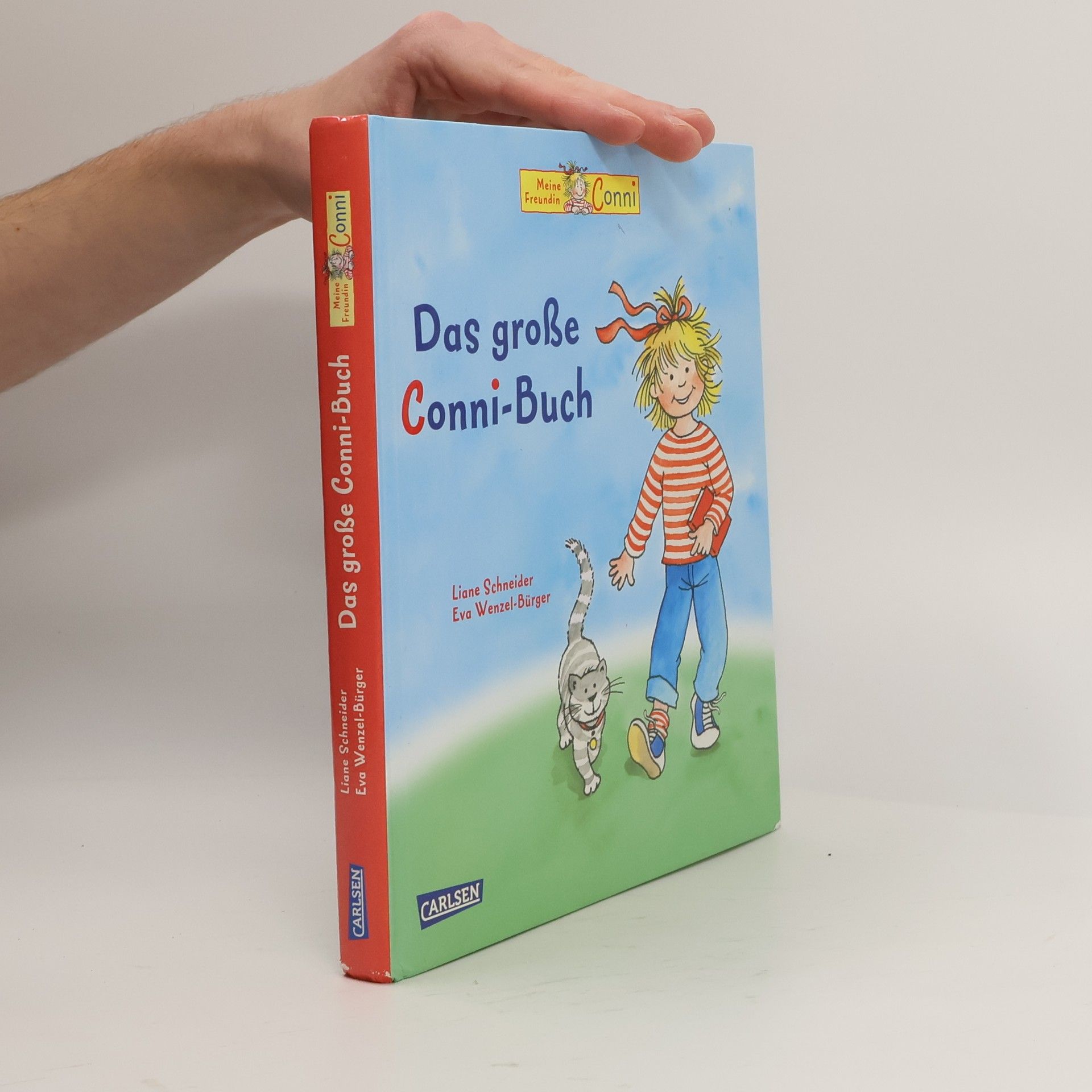 Liane Schneider Das große Conni-Buch