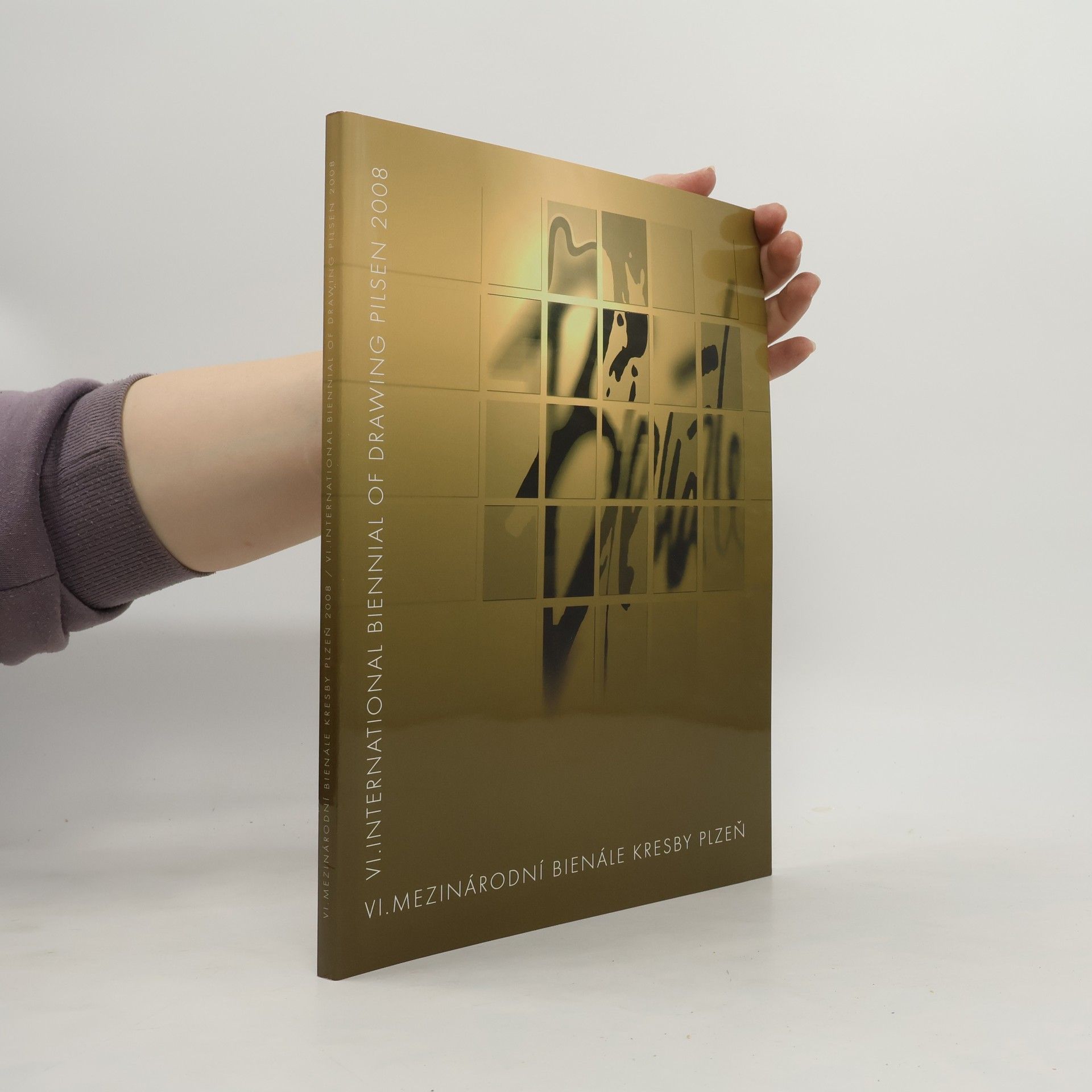 Collectif d'auteurs VI. International Biennial of Drawing Pilsen 2008
