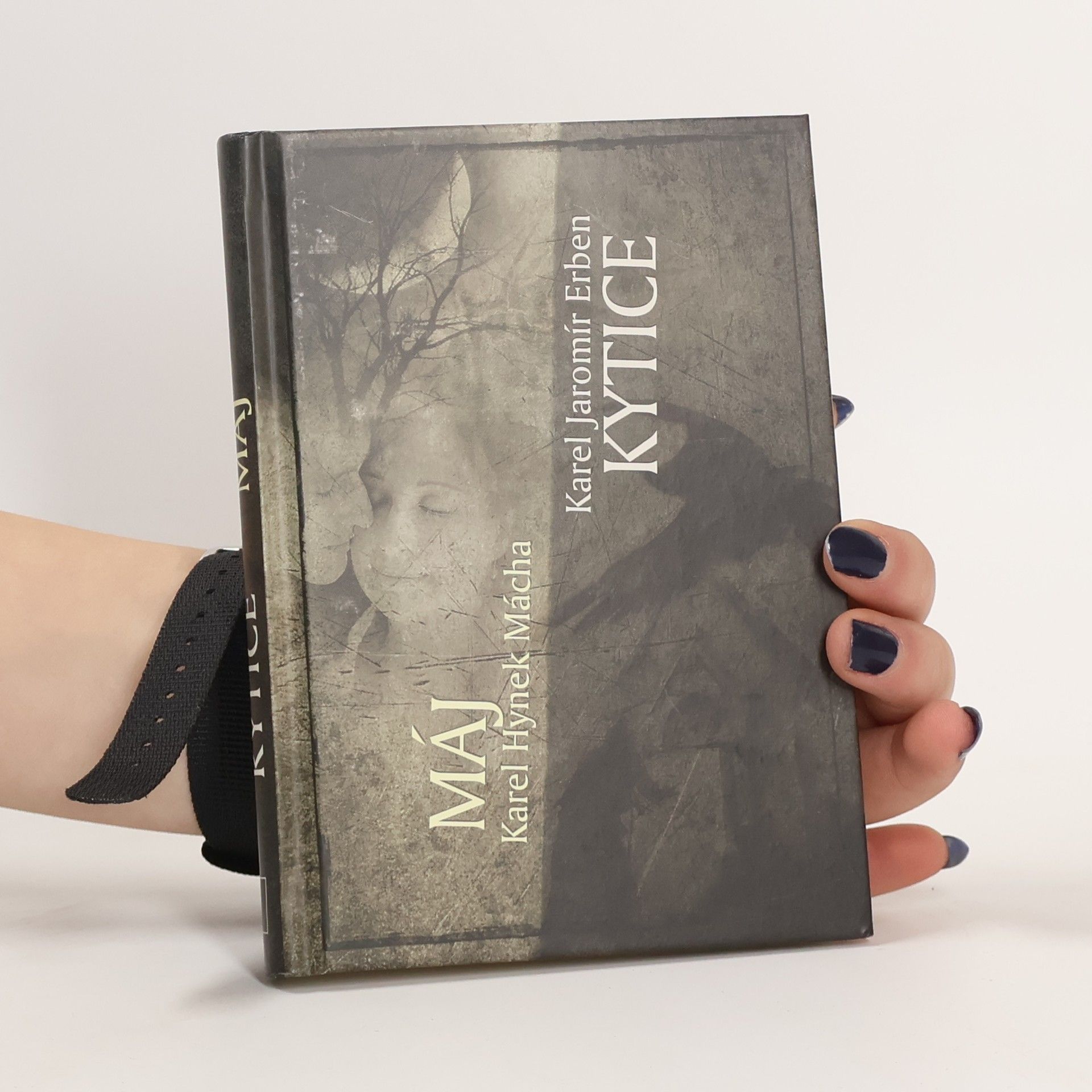 Karel Hynek Mácha Máj. Kytice