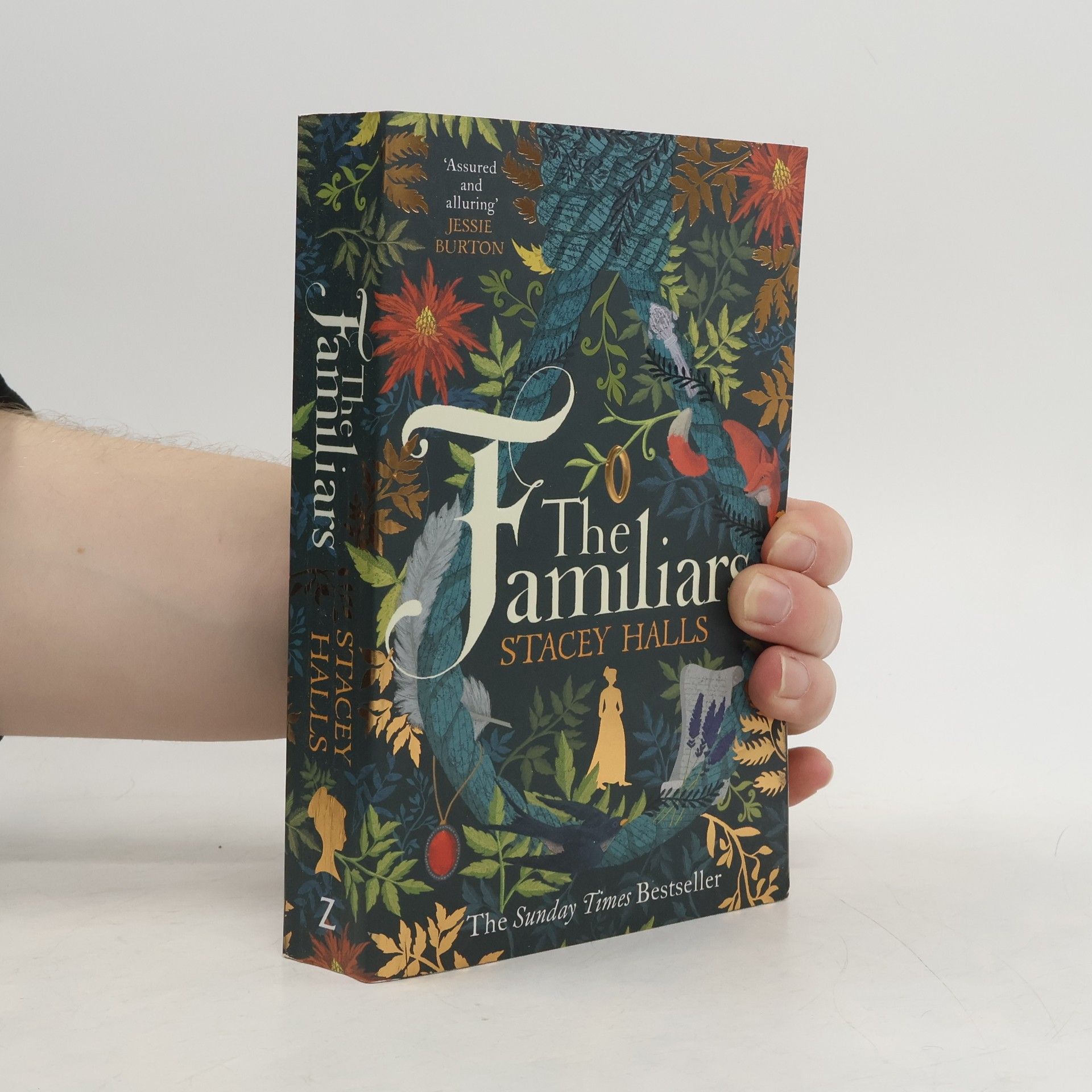 Stacey Halls The familiars