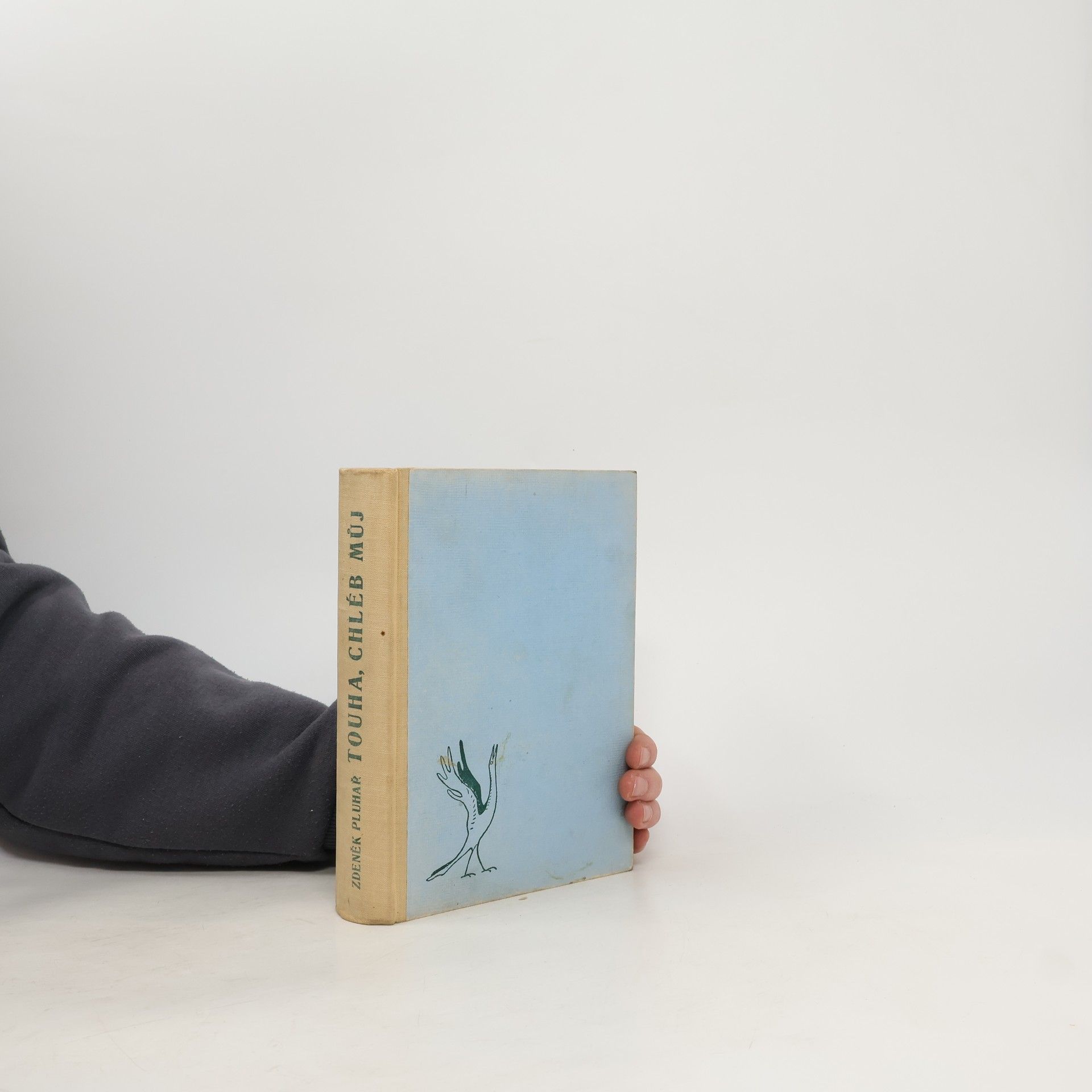 Zdeněk Pluhař Touha, chléb můj