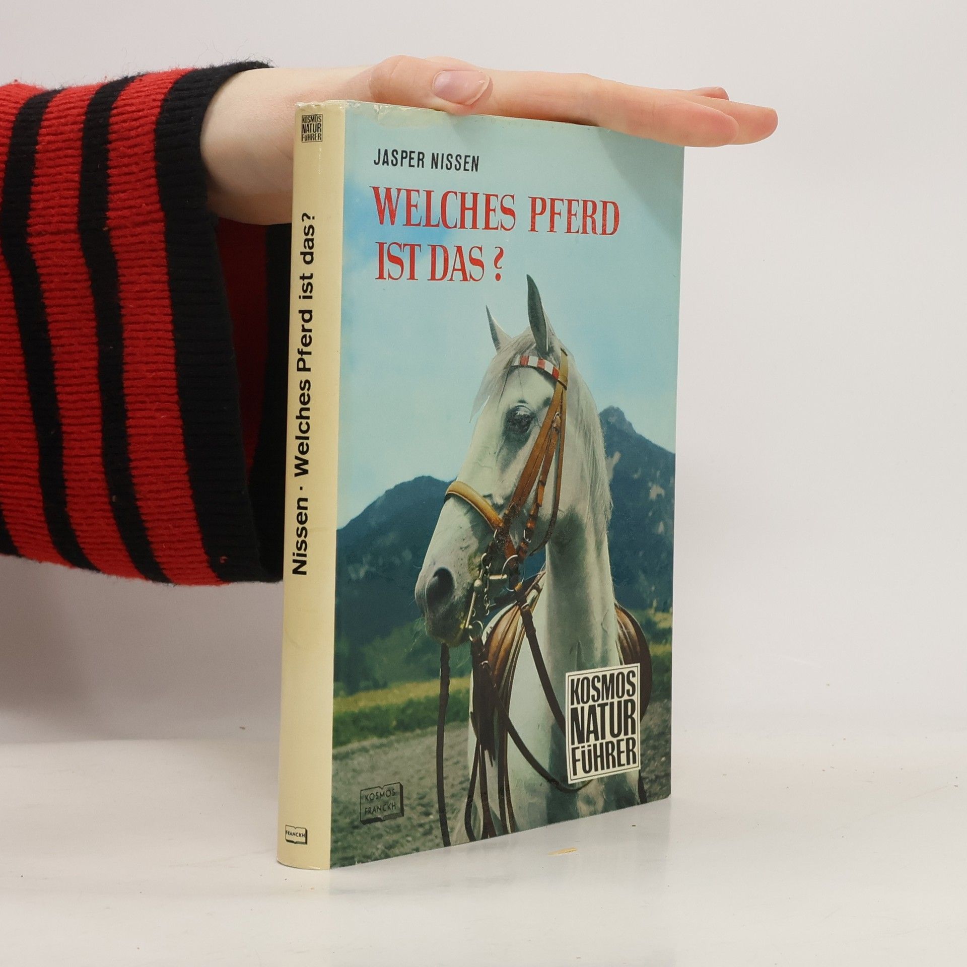 Jasper Nissen Welches Pferd ist das?