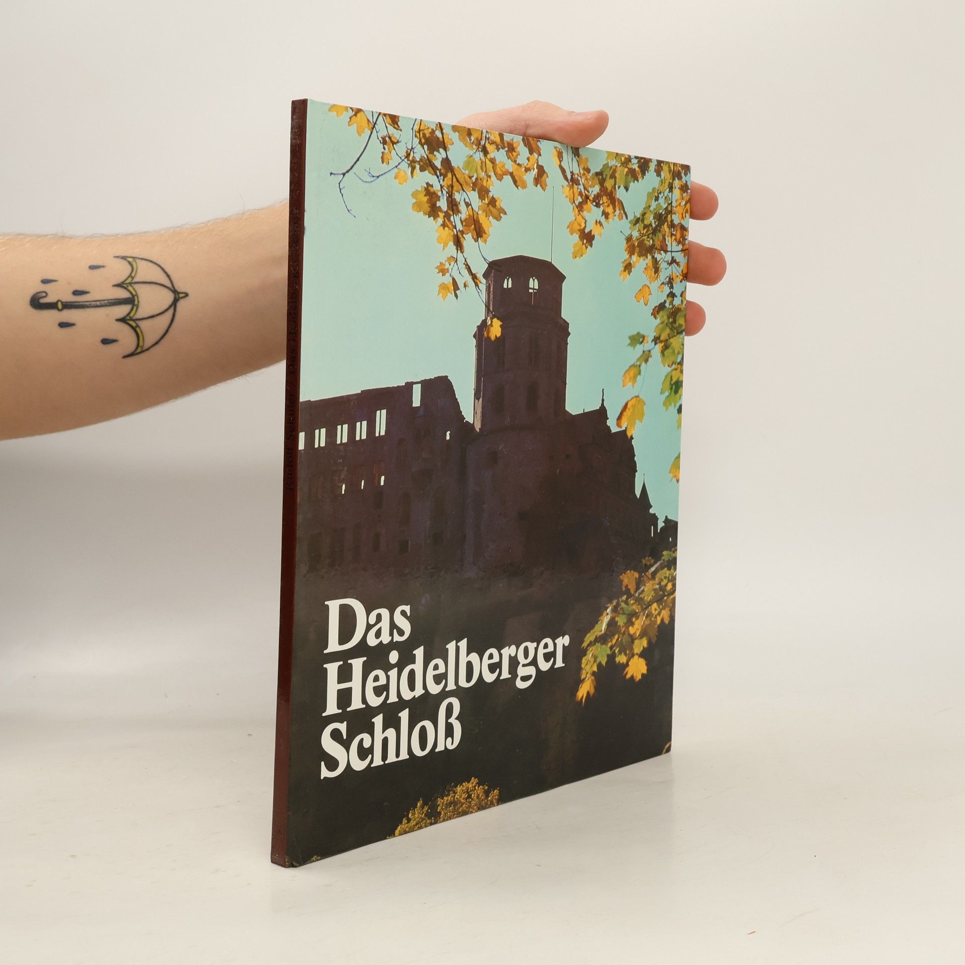 Das Heidelberger Schloß in Farben