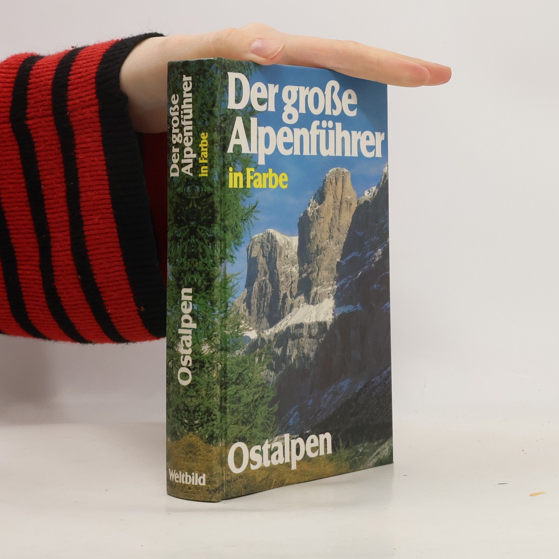 Auteurscollectief Der große Alpenführer in Farbe. Ostalpen