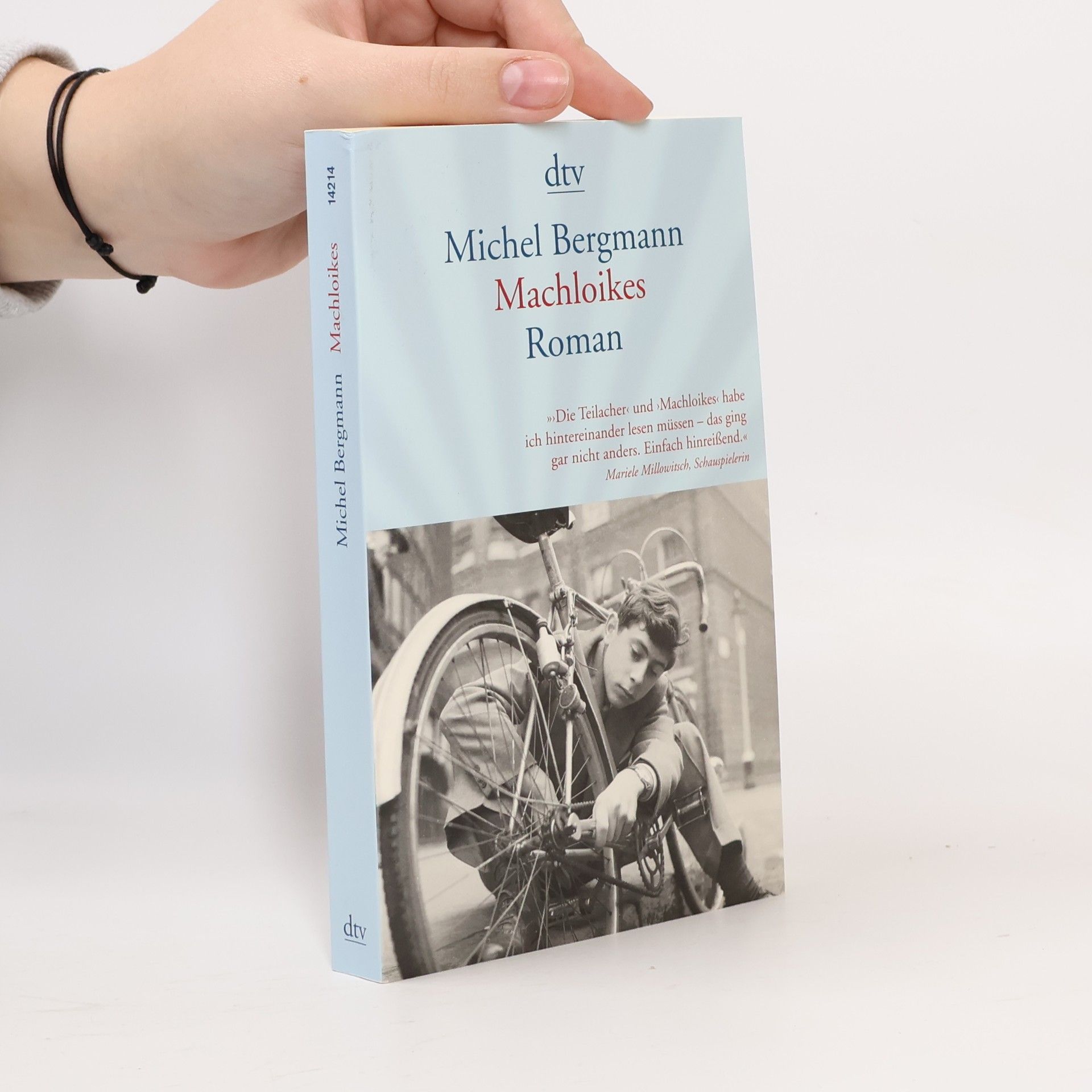 Michel Bergmann Machloikes