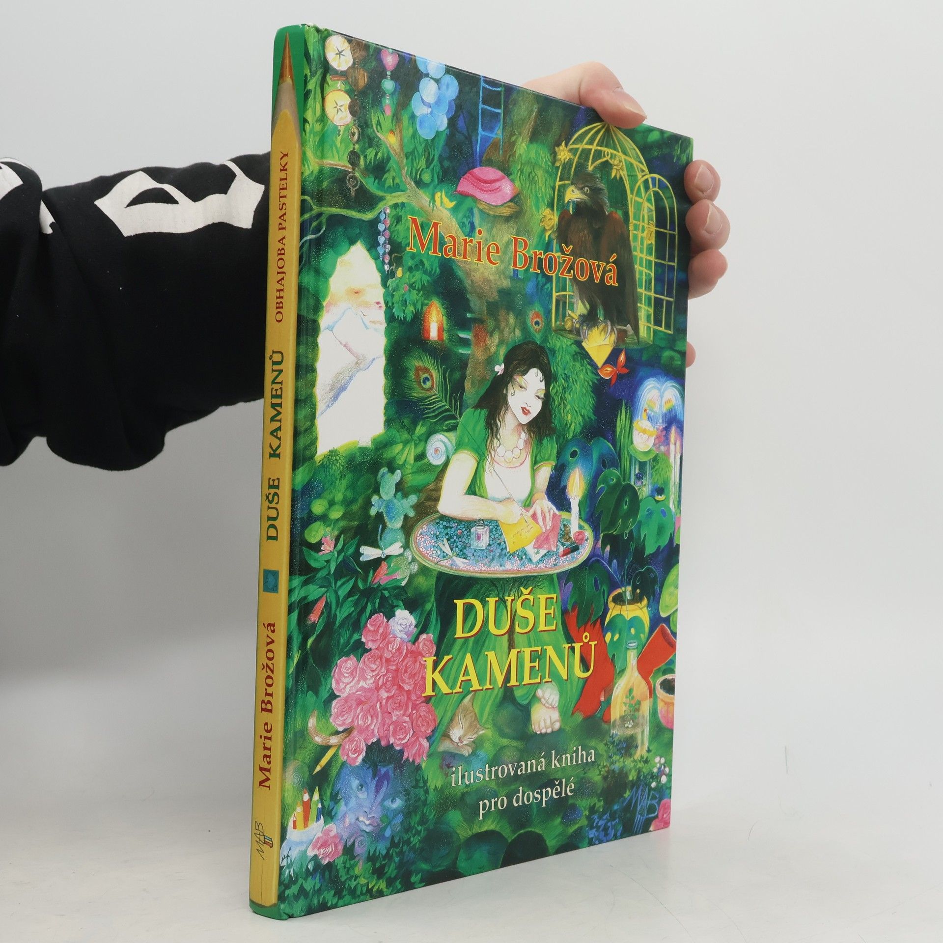 Marie Brožová Duše kamenů