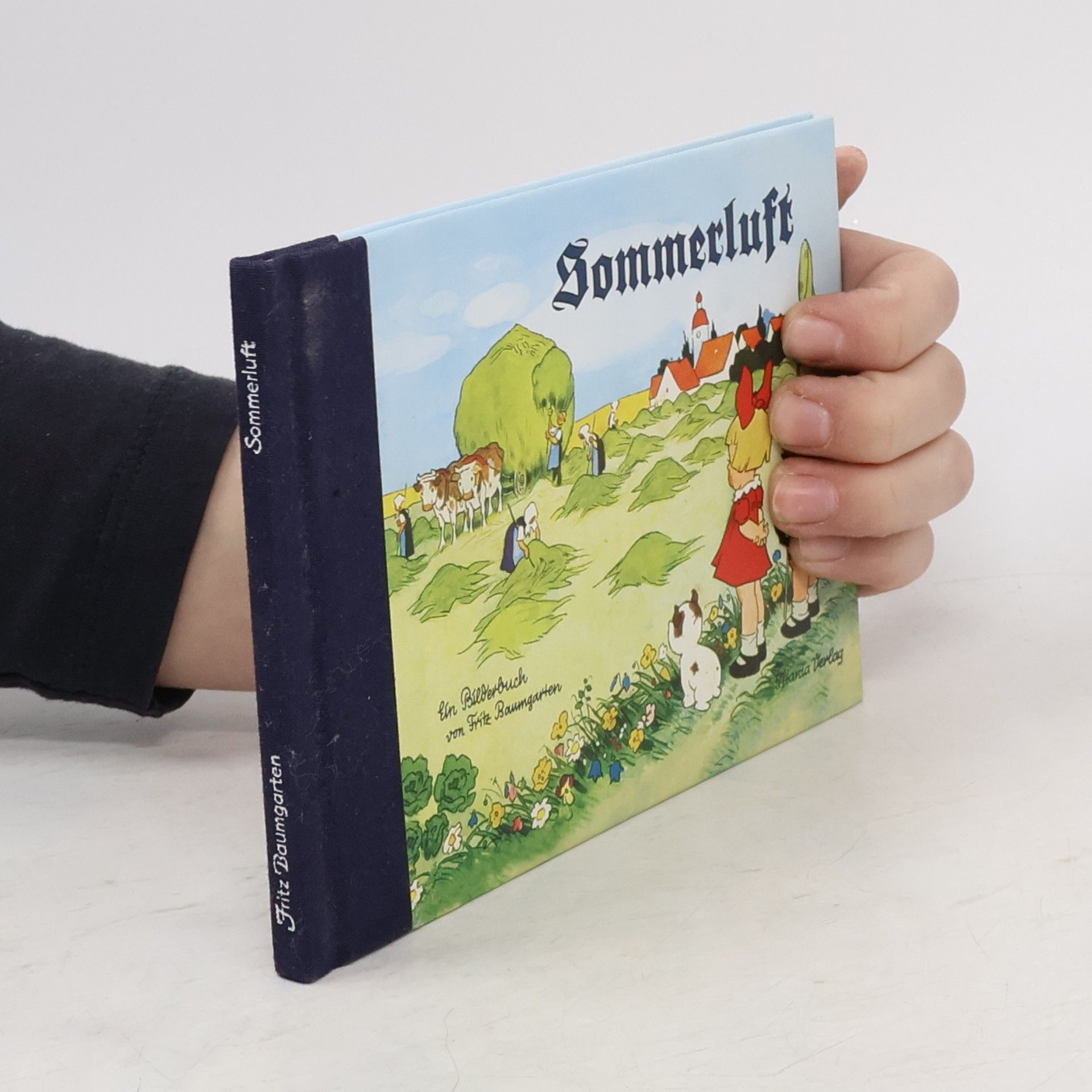 Fritz Baumgarten Sommerluft