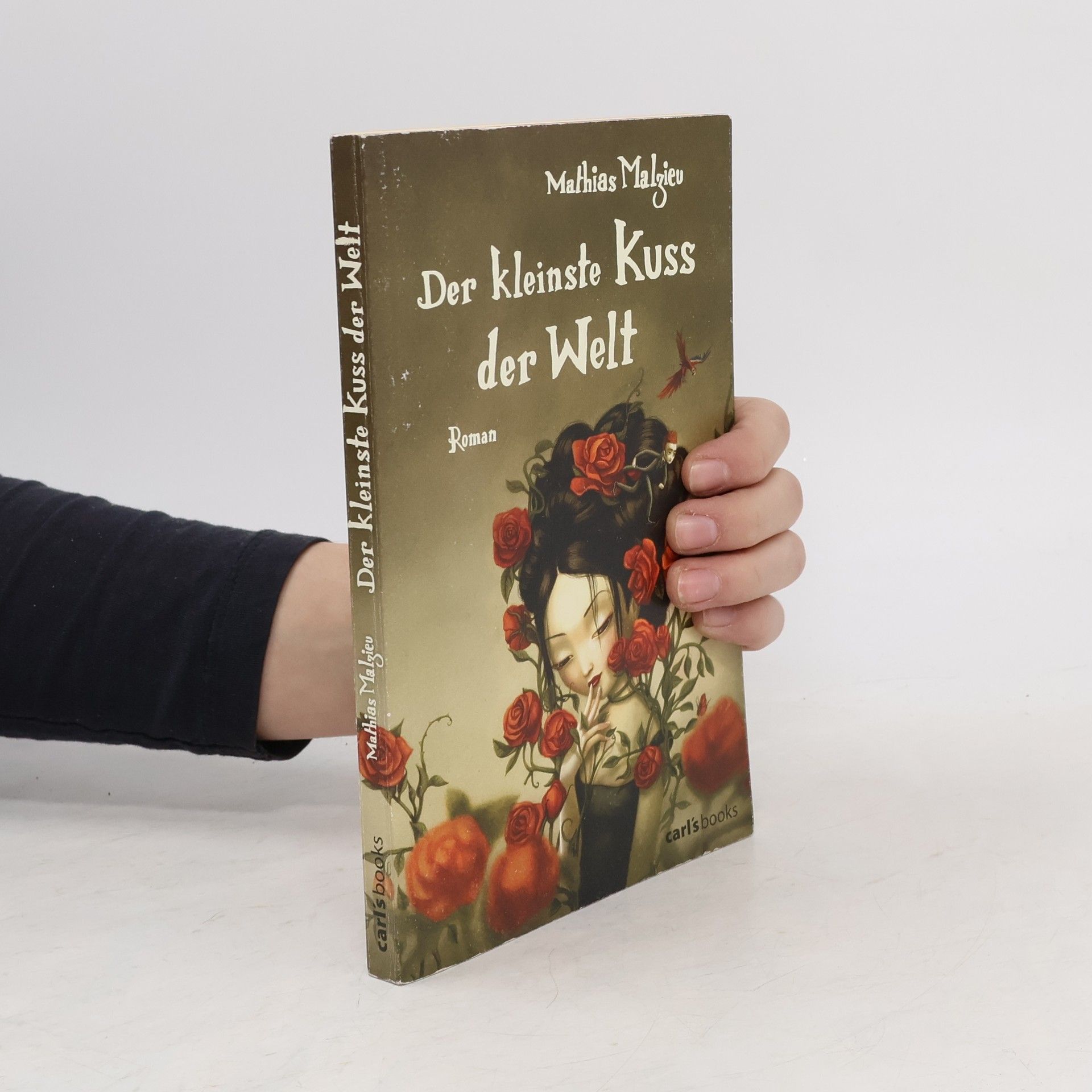 Mathias Malzieu Der kleinste Kuss der Welt