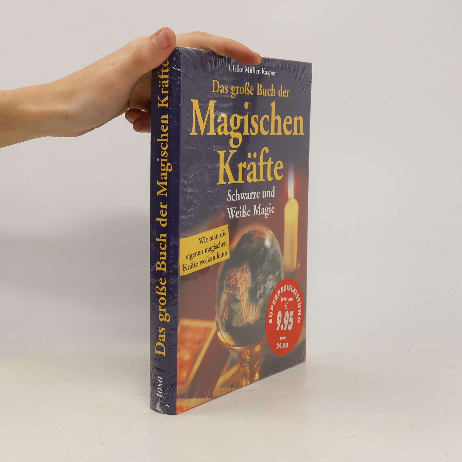 Ulrike Müller-Kaspar Das große Buch der magischen Kräfte