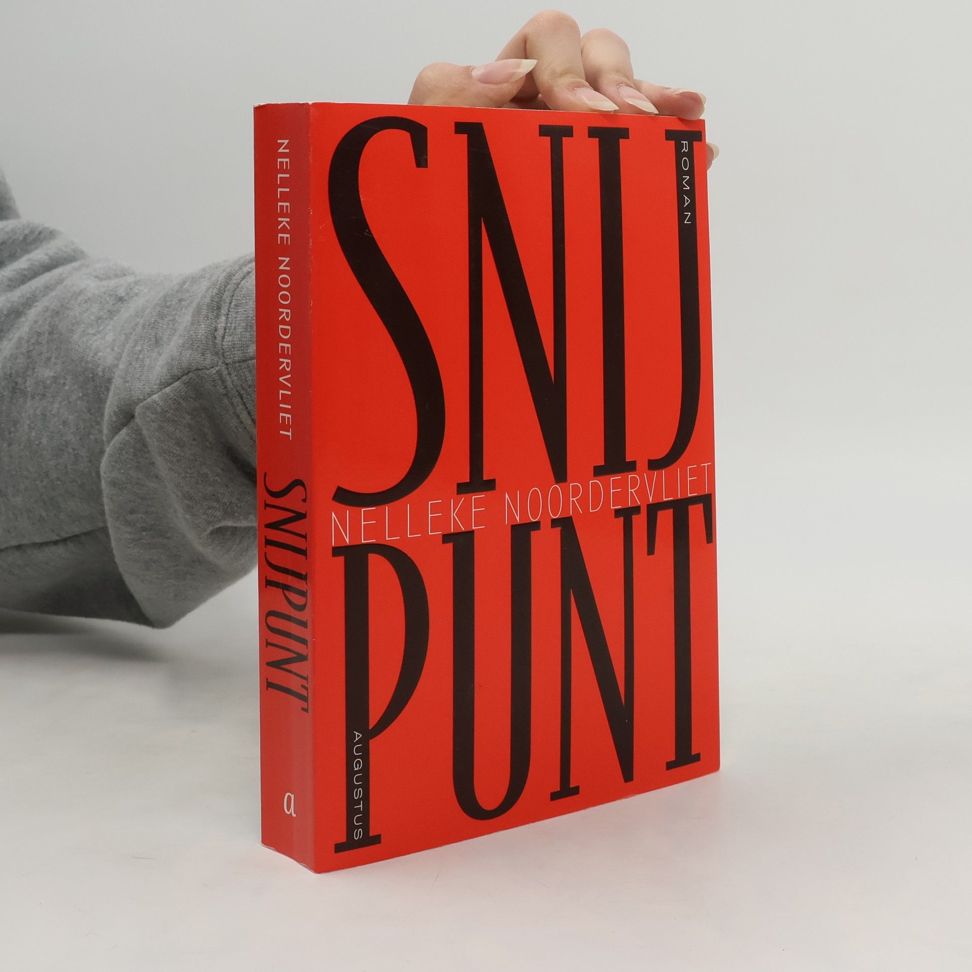 Nelleke Noordervliet Snijpunt