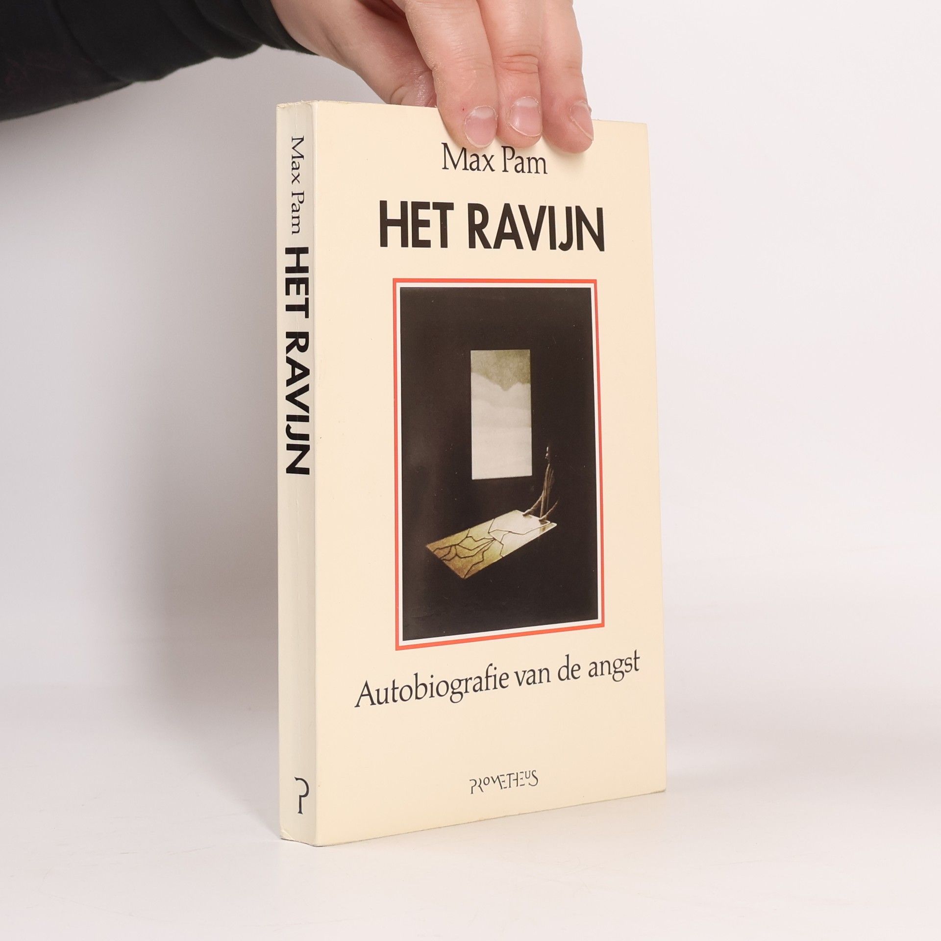 Het ravijn