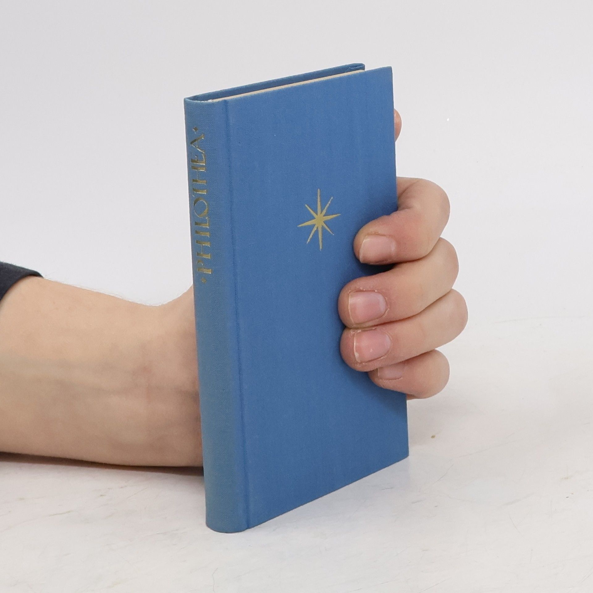 Franz von Sales Philothea. Anleitung zum religiösen Leben