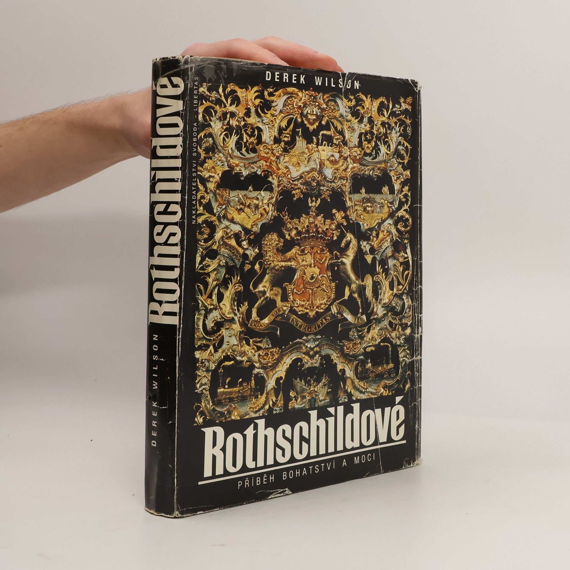 Derek A. Wilson Rothschildové. Příběh bohatství a moci