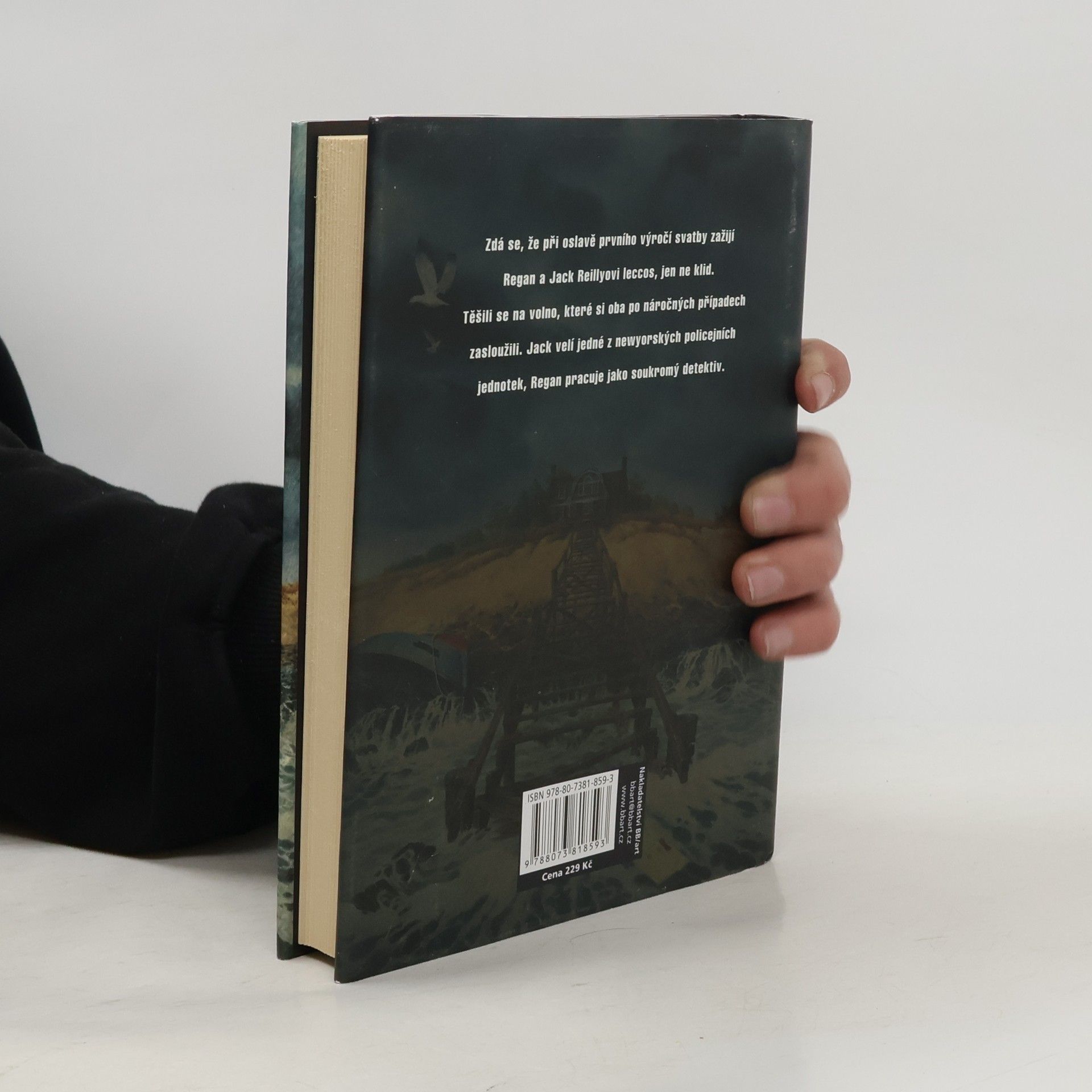 Carol Higgins Clark Bouře