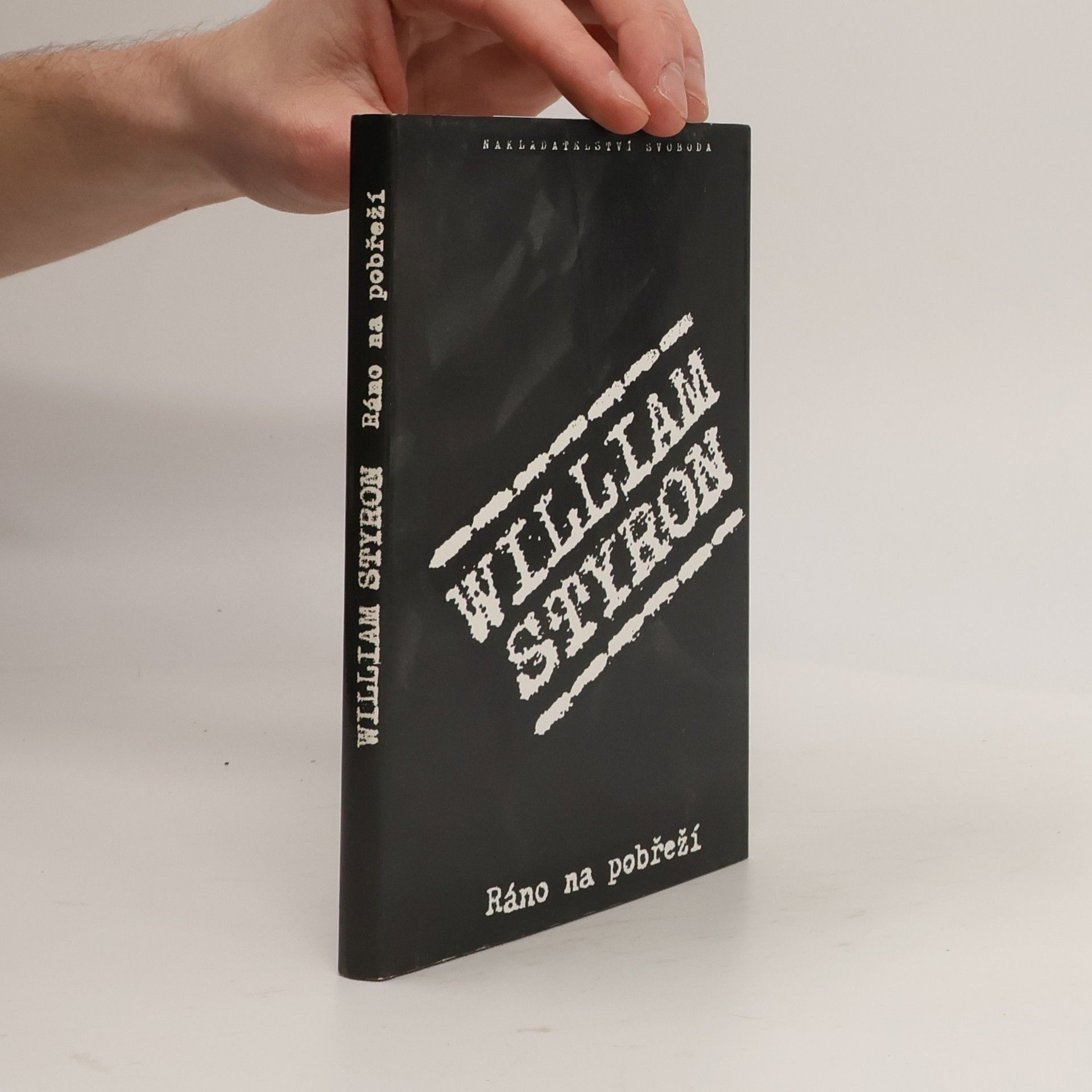 William Styron Ráno na pobřeží