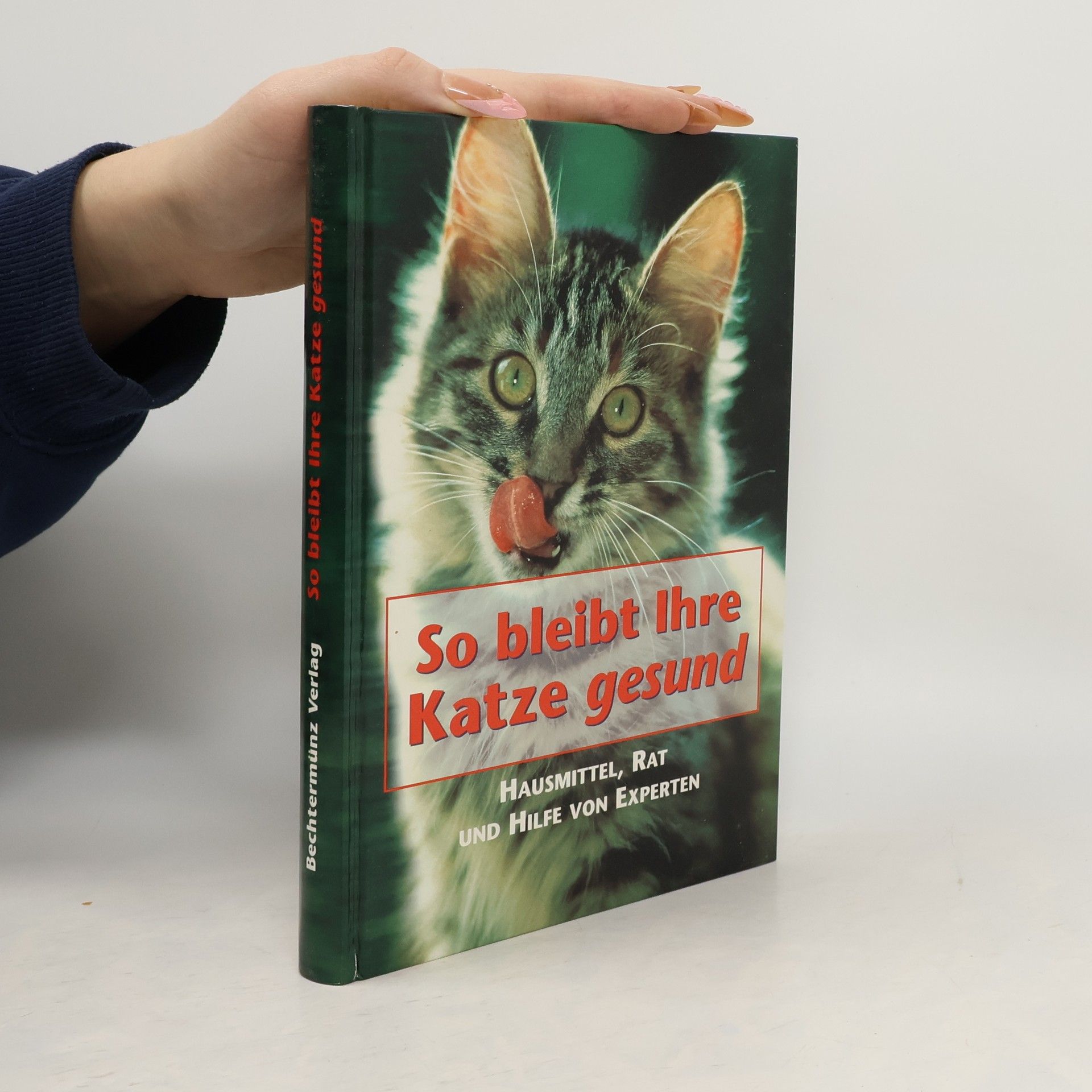 So bleibt Ihre Katze gesund