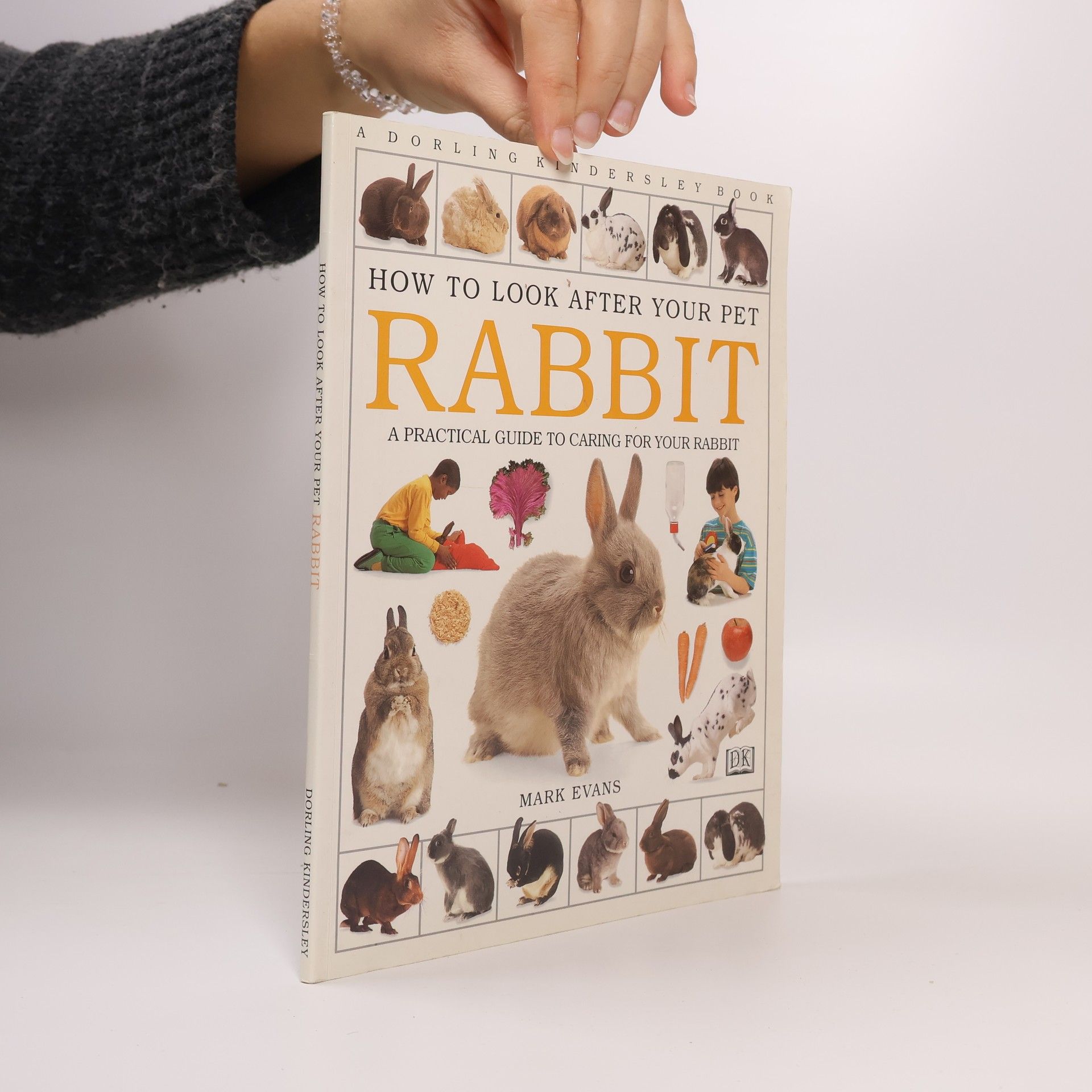 How To Look After Your Pet