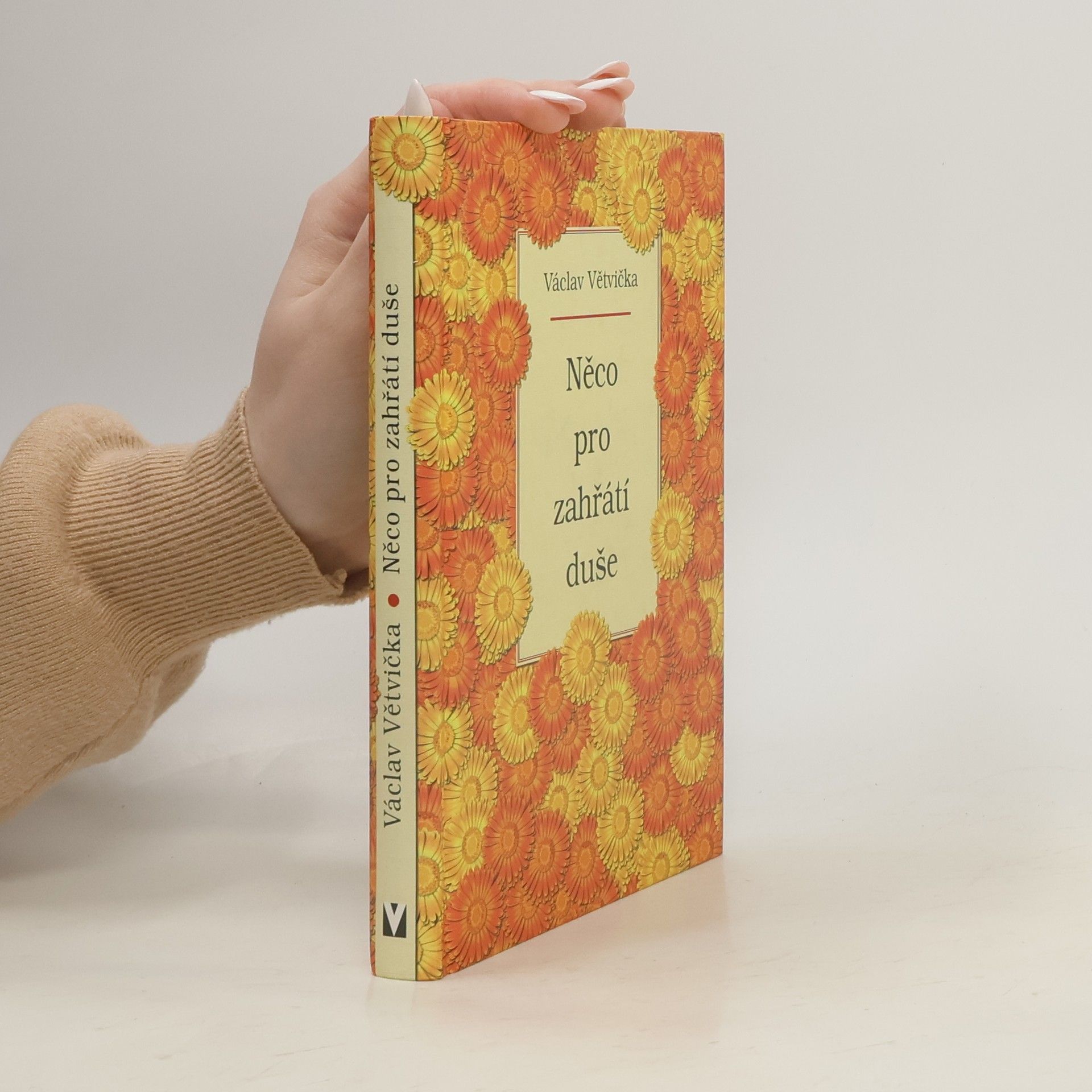 Václav Větvička Něco pro zahřátí duše