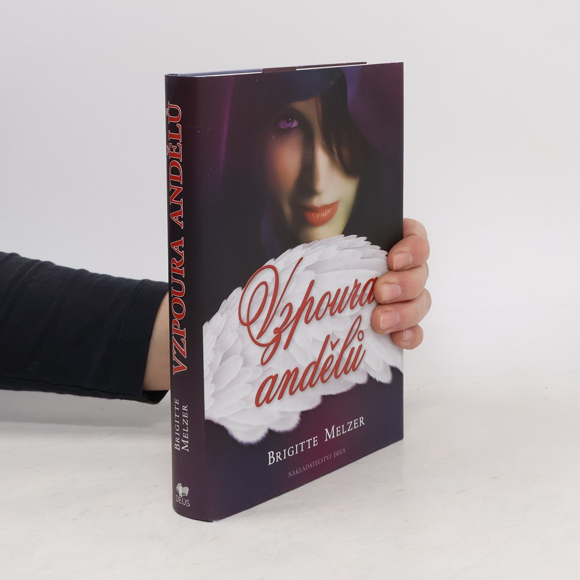 Brigitte Melzer Vzpoura andělů