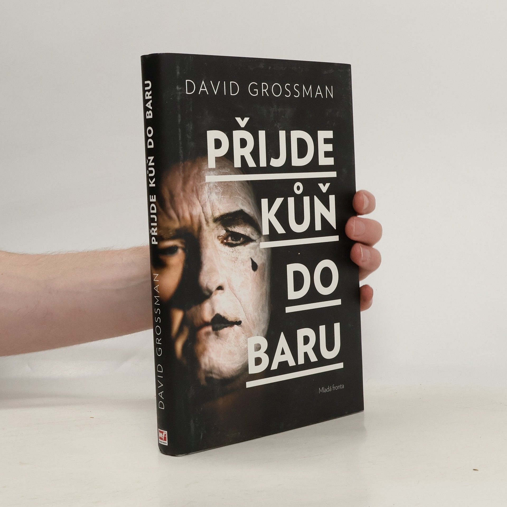 David Grossman Přijde kůň do baru