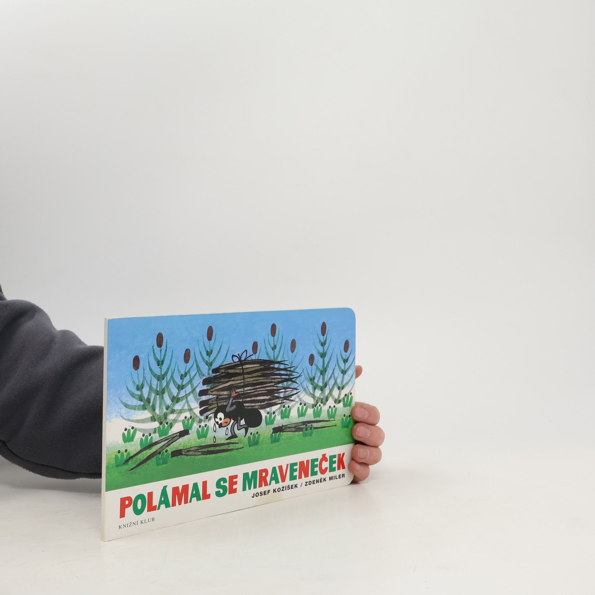 Polámal se mraveneček